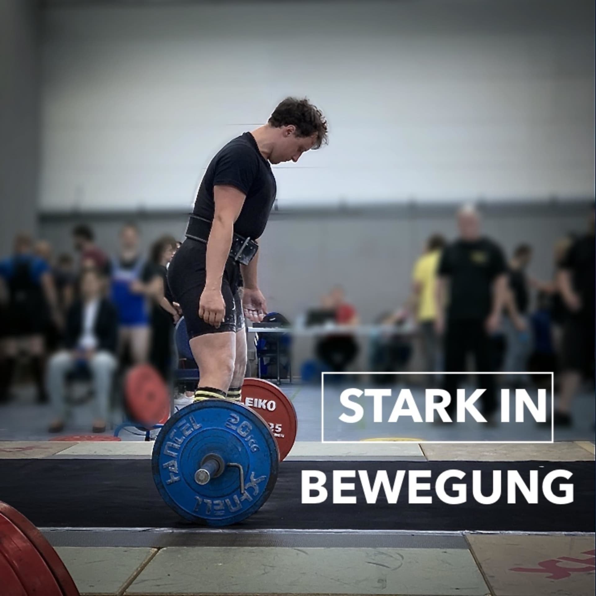 Stark in Bewegung