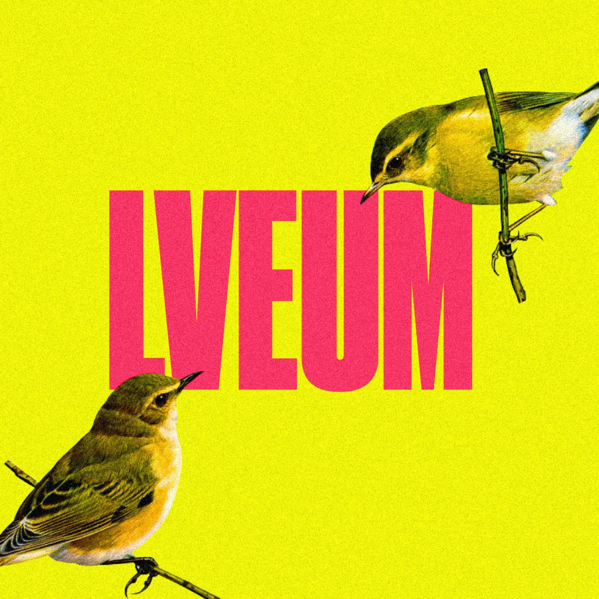 La Vida Es Un Meme - Podcasts