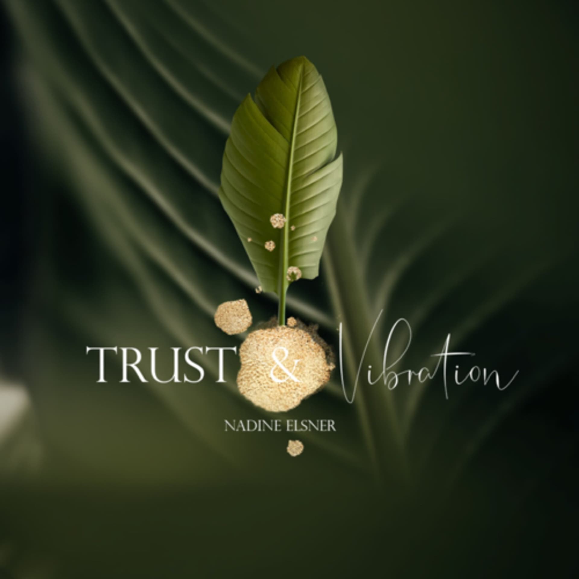 Trust & Vibration - Podcasts