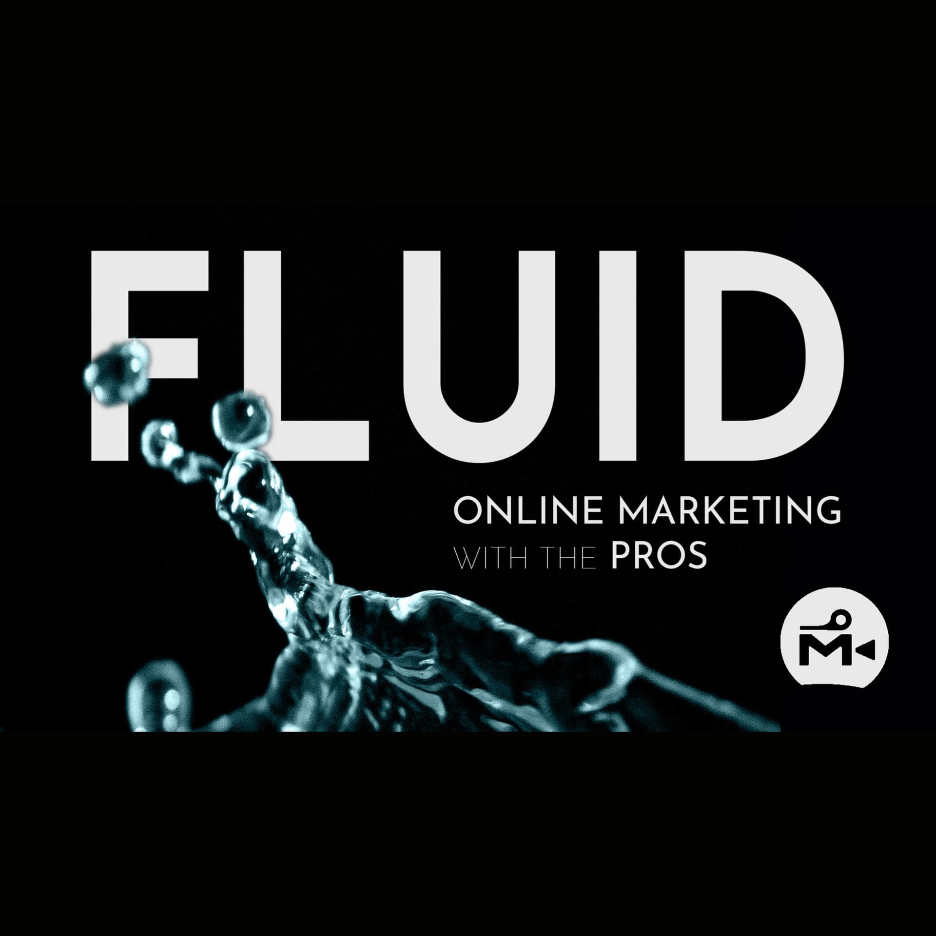 Fluid - Online Marketing Pros