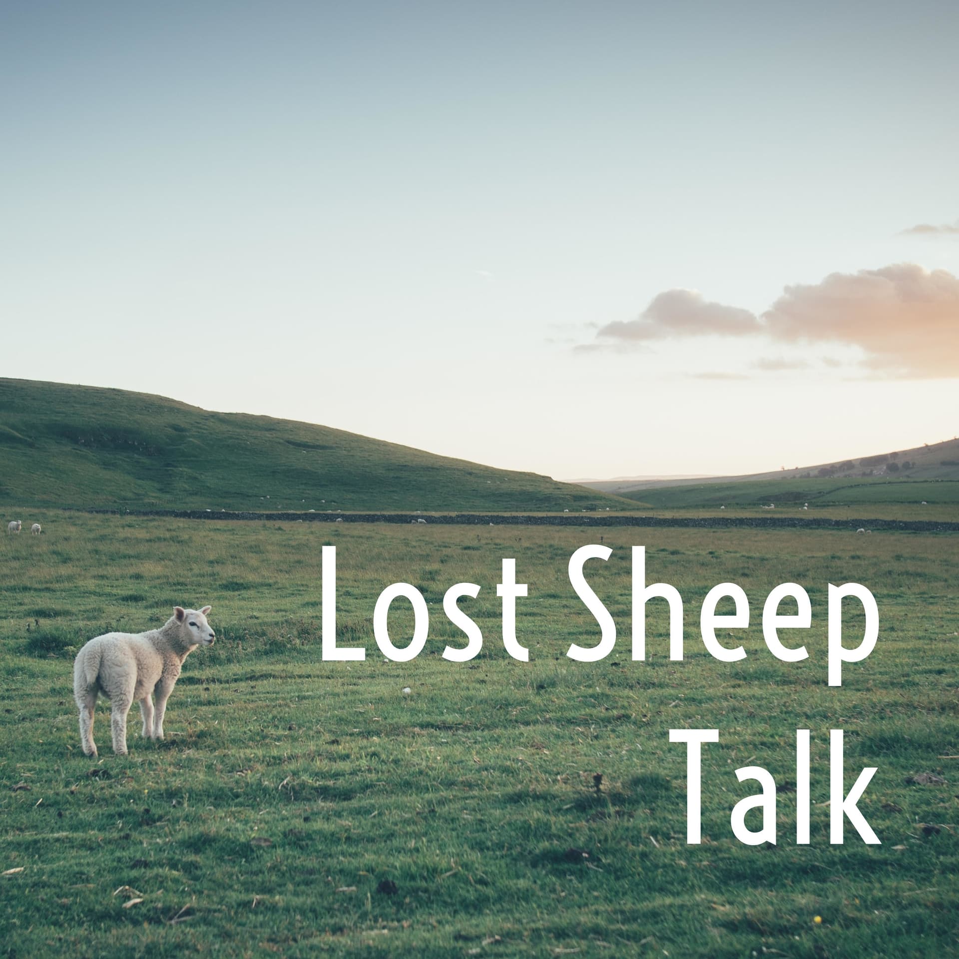 Lost Sheep Talk - Podcasts