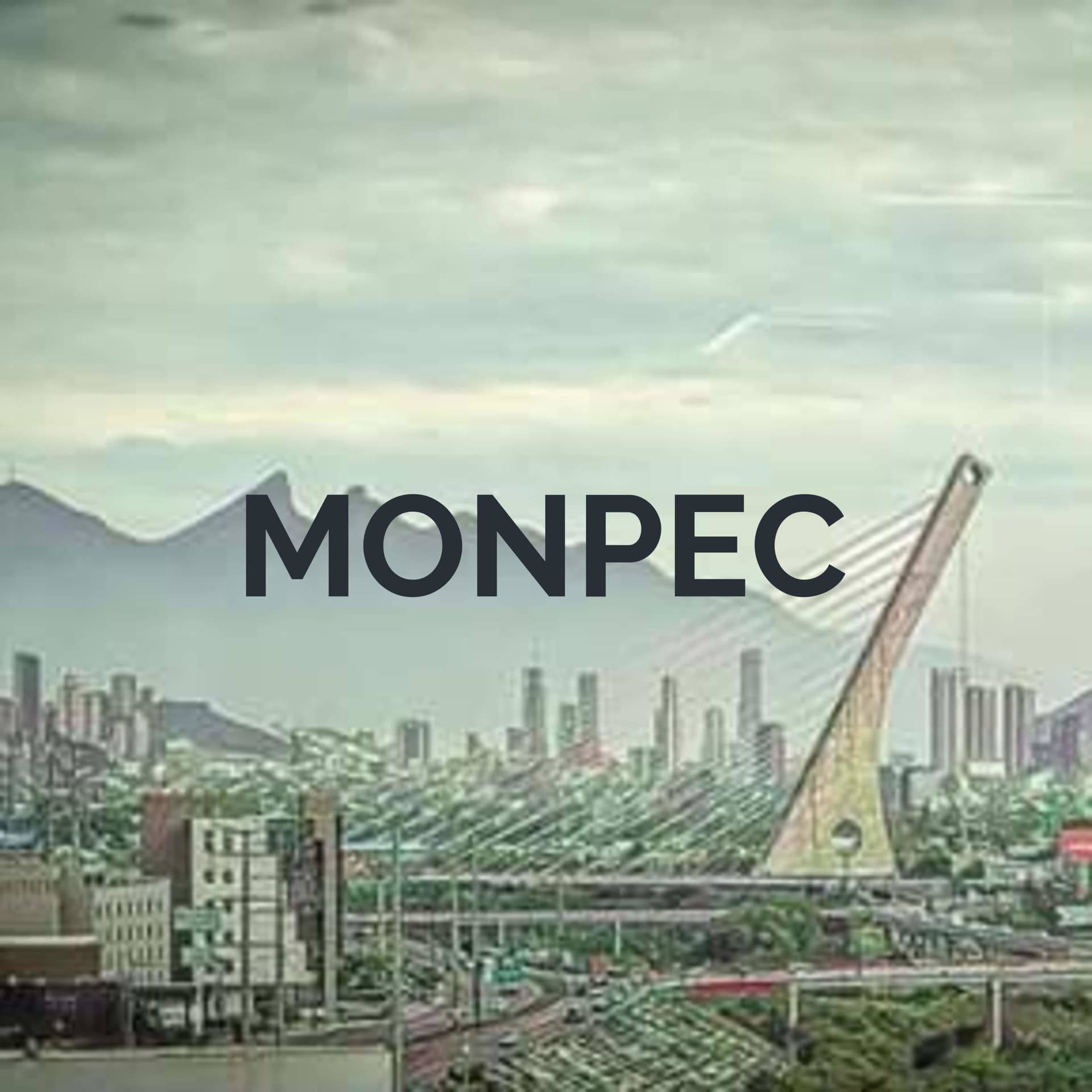 MONPEC - Mirando al futuro