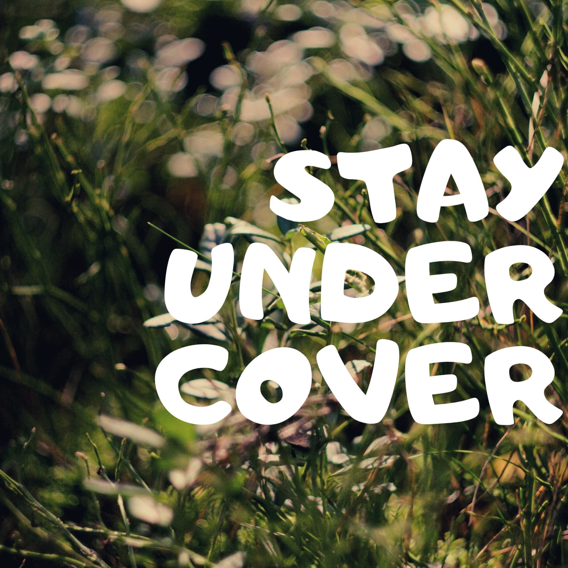 Stay Under Cover Minnesota Soil Health Coalition - Podcasts