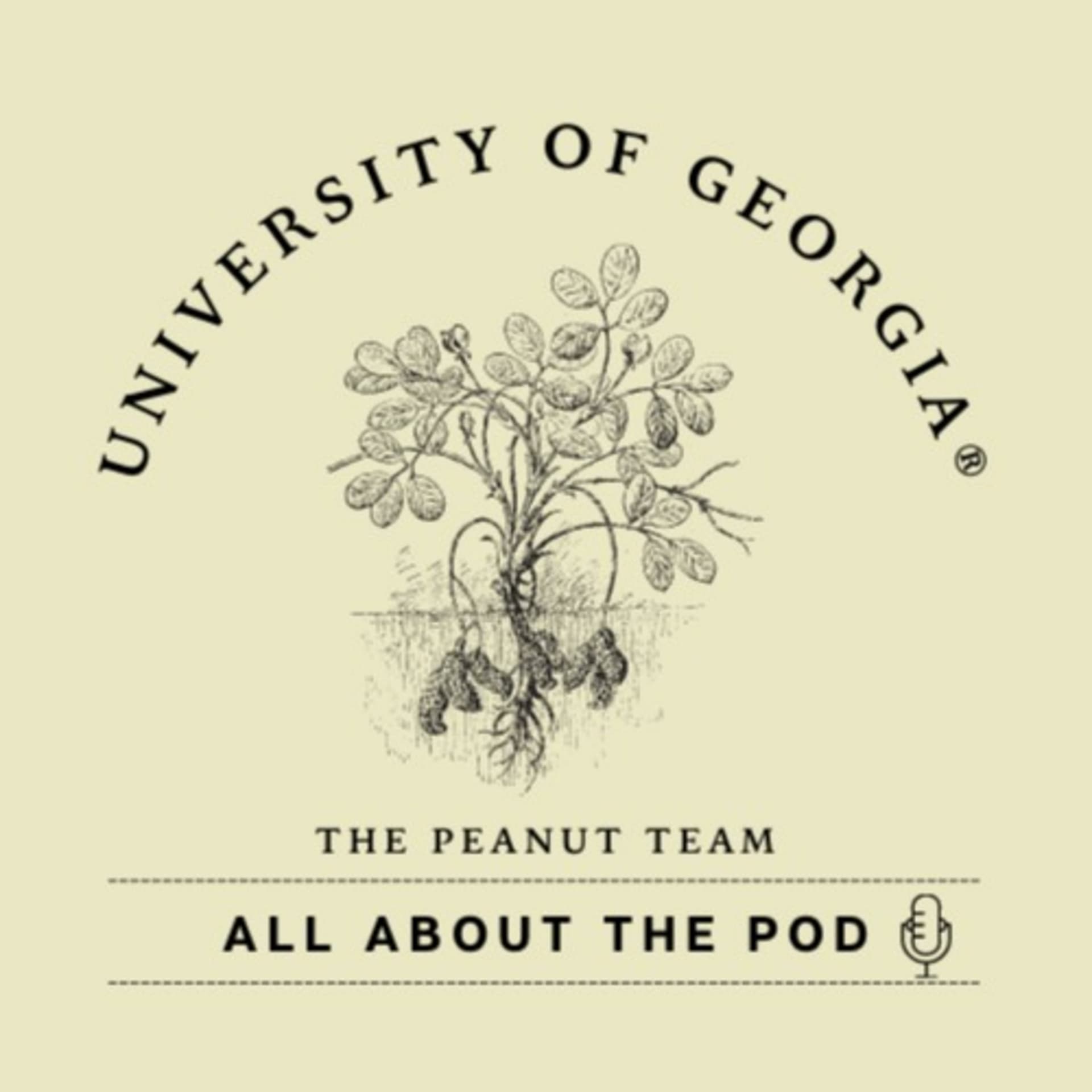 All About the Pod - Podcasts