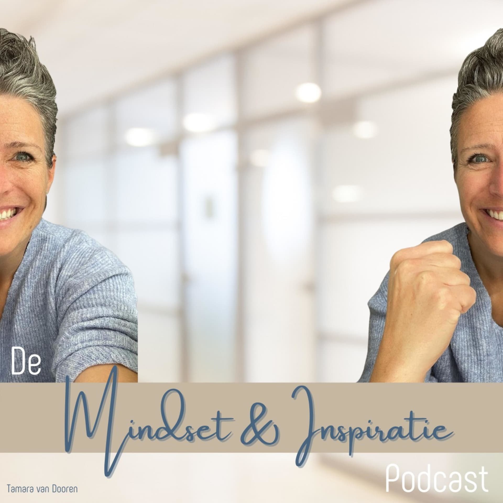 De Mindset & Inspiratie podcast - Podcasts