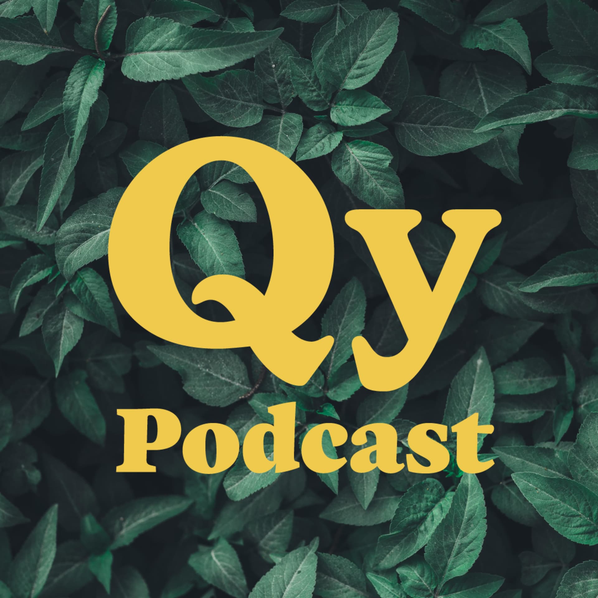 Qy Podcast - Podcasts