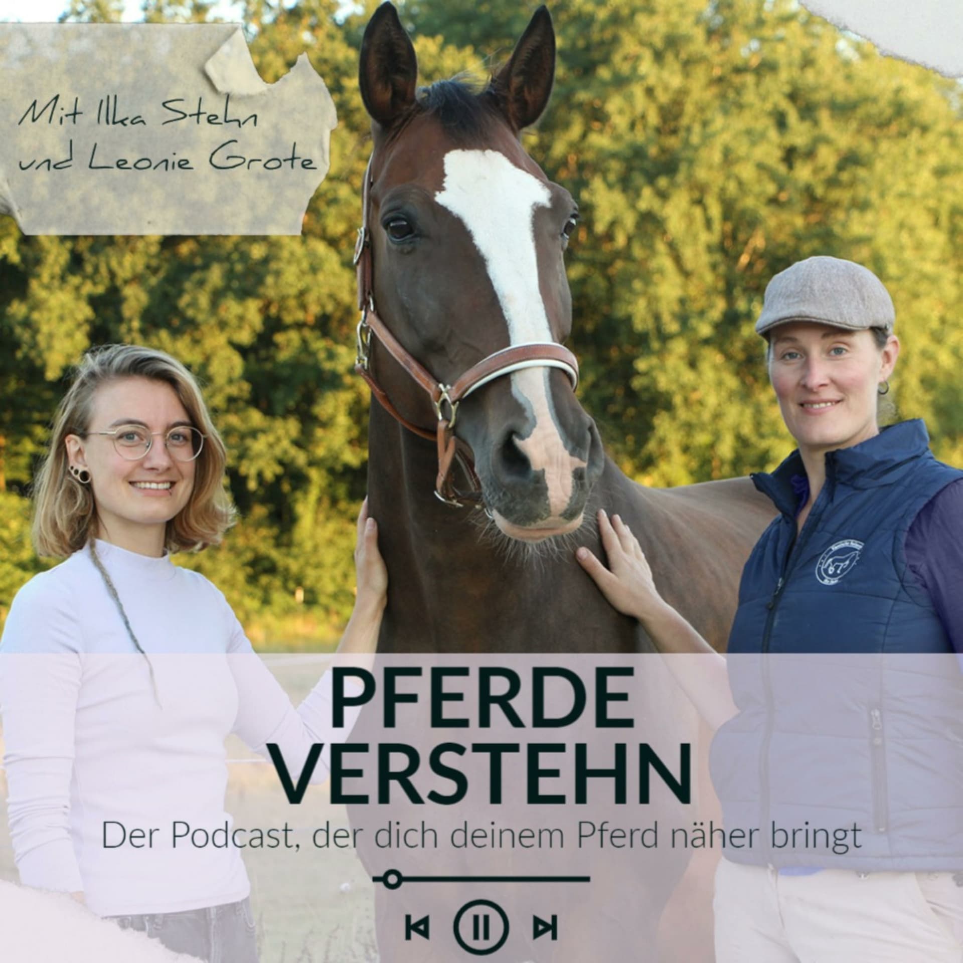 Pferde verSTEHN - Podcasts