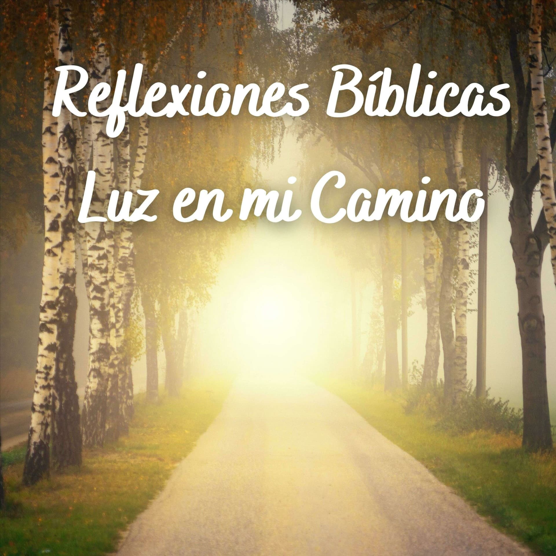 Reflexiones Bíblicas - Luz en mi Camino - Podcasts