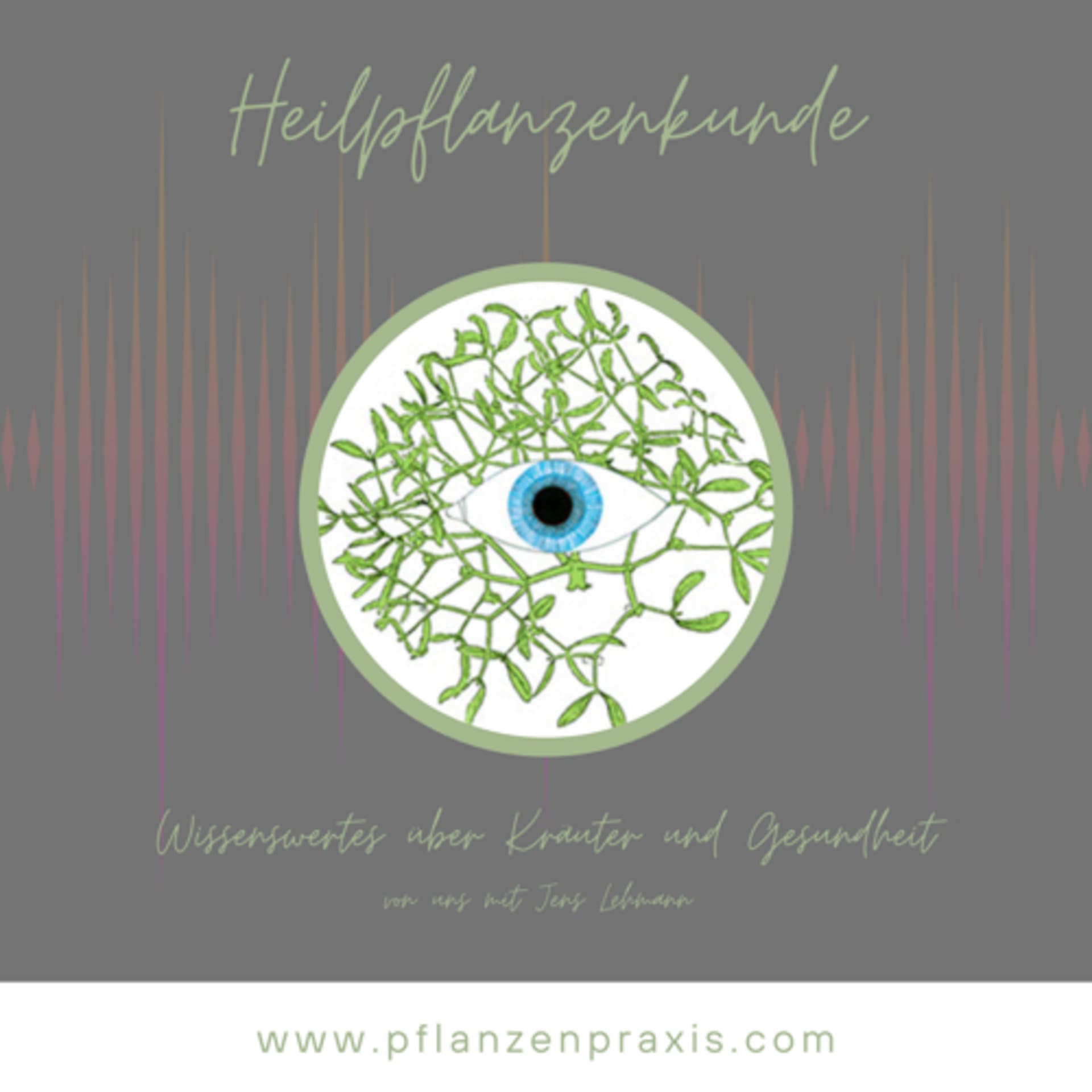 Heilpflanzenkunde - Wissenswertes über Kräuter und Gesundheit - Podcasts