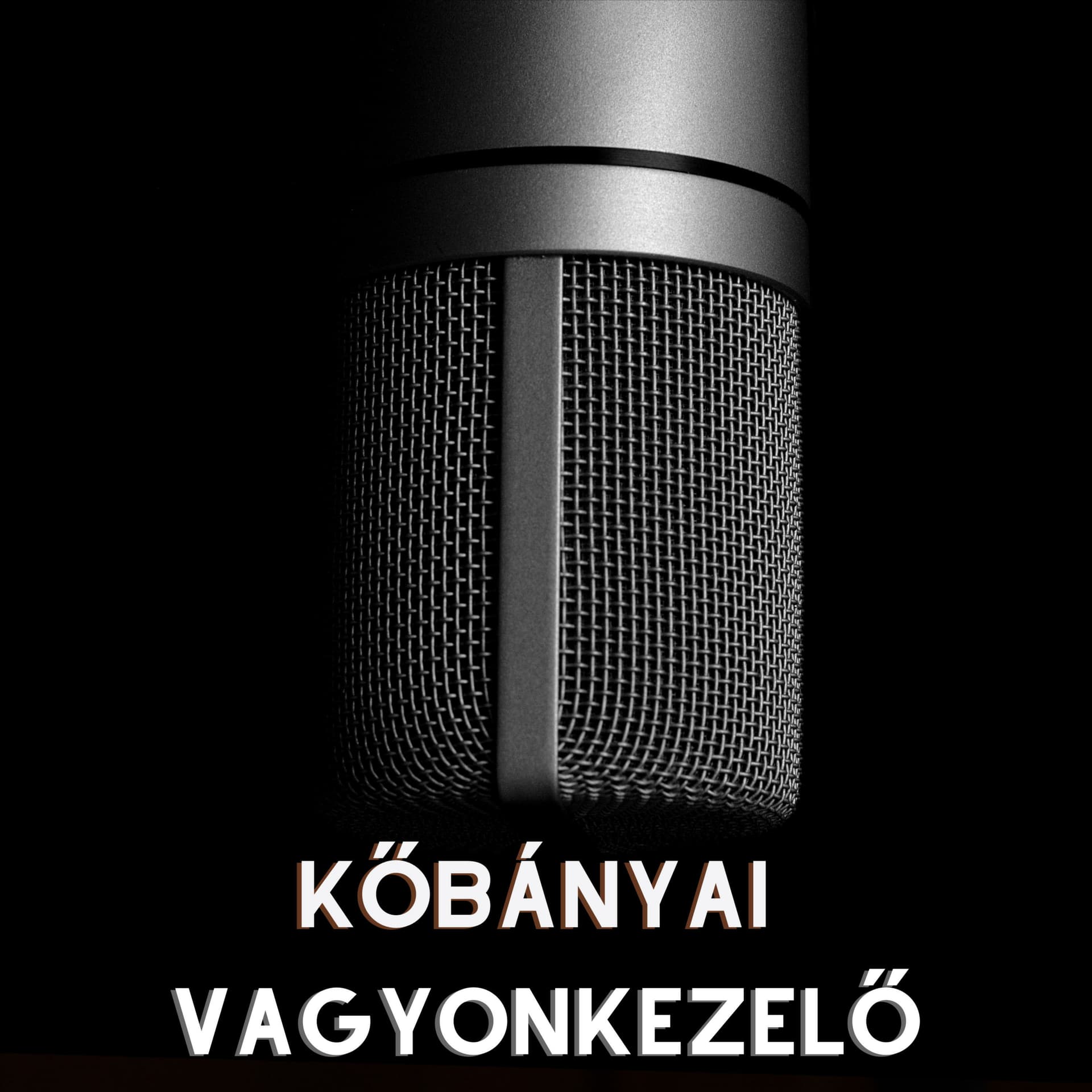A Vagyonkezelő Kőbánya szolgálatában - Podcasts