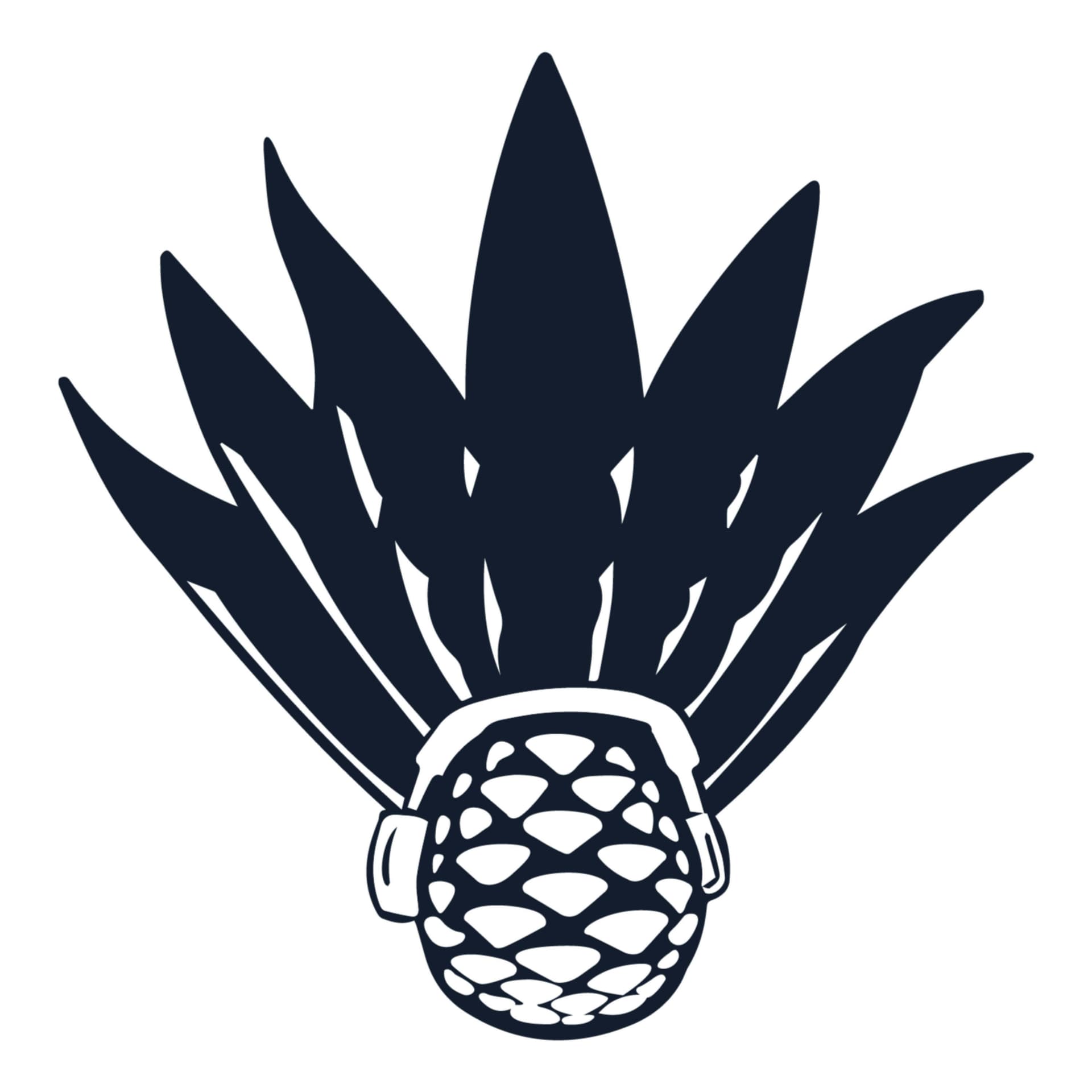 Musica&Mezcal - Podcasts