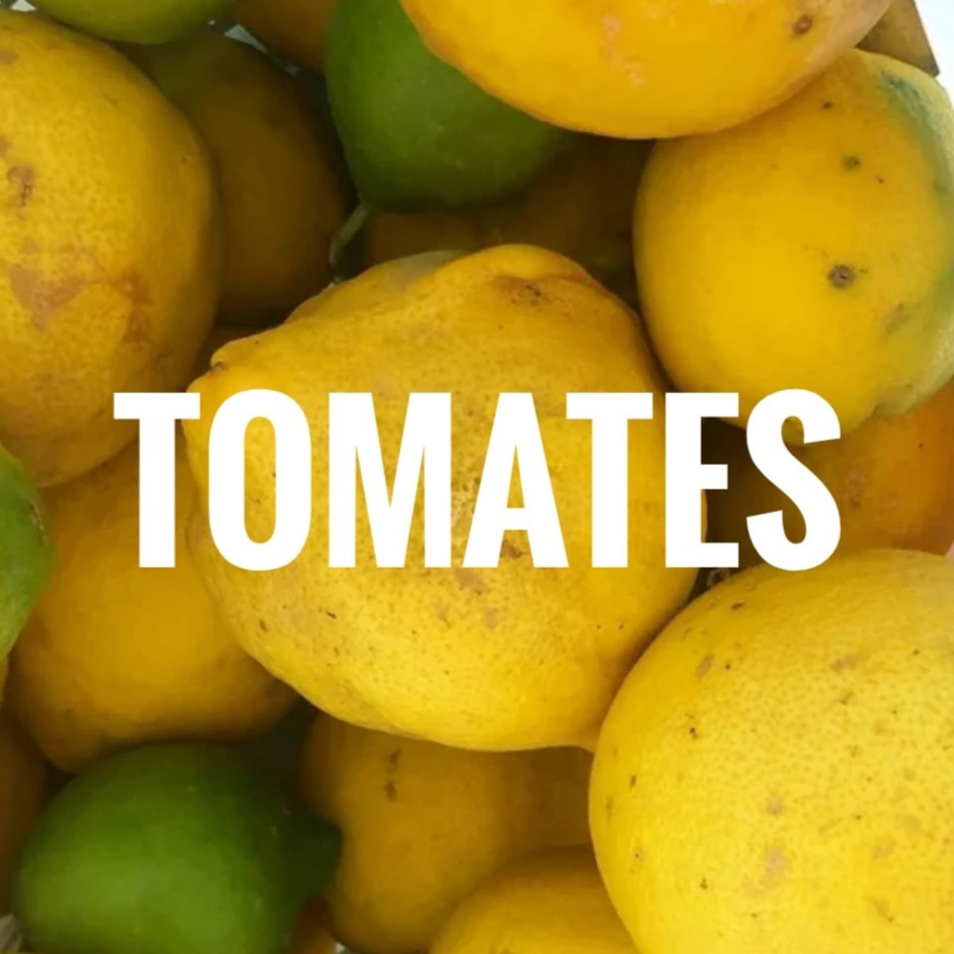 Tomates en Invierno - Podcasts
