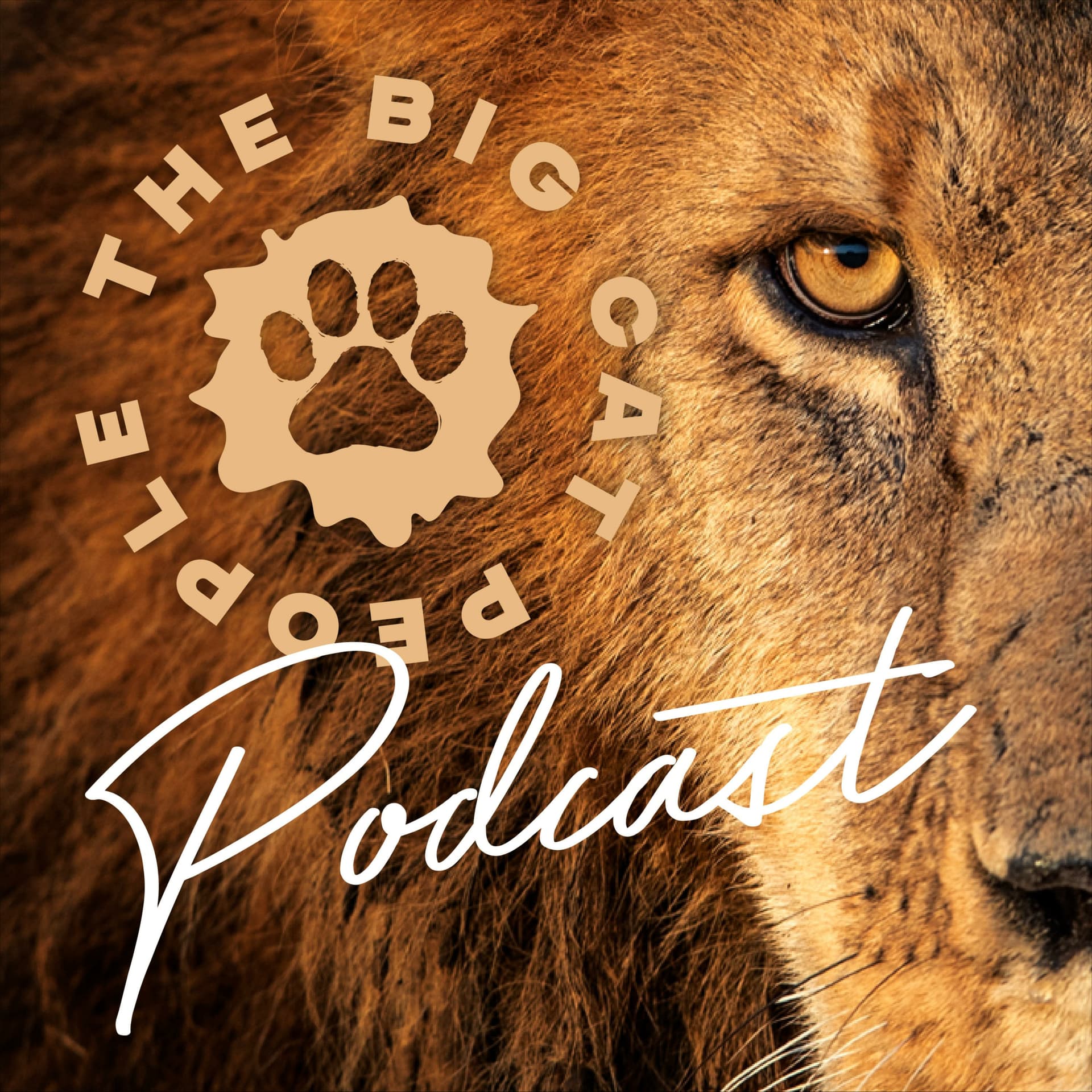 The Big Cat People Podcast - Podcasts