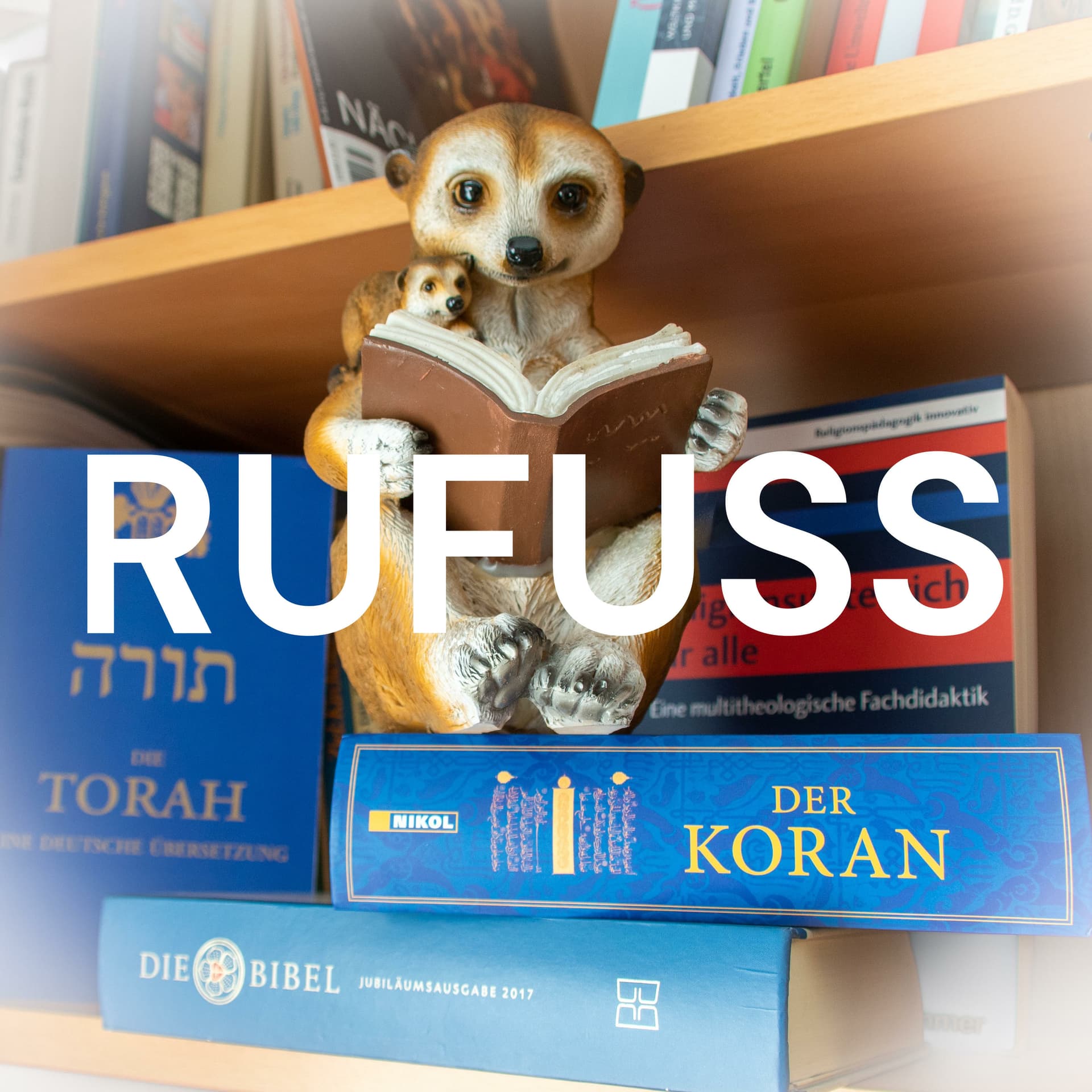 RUFUSS - Podcasts