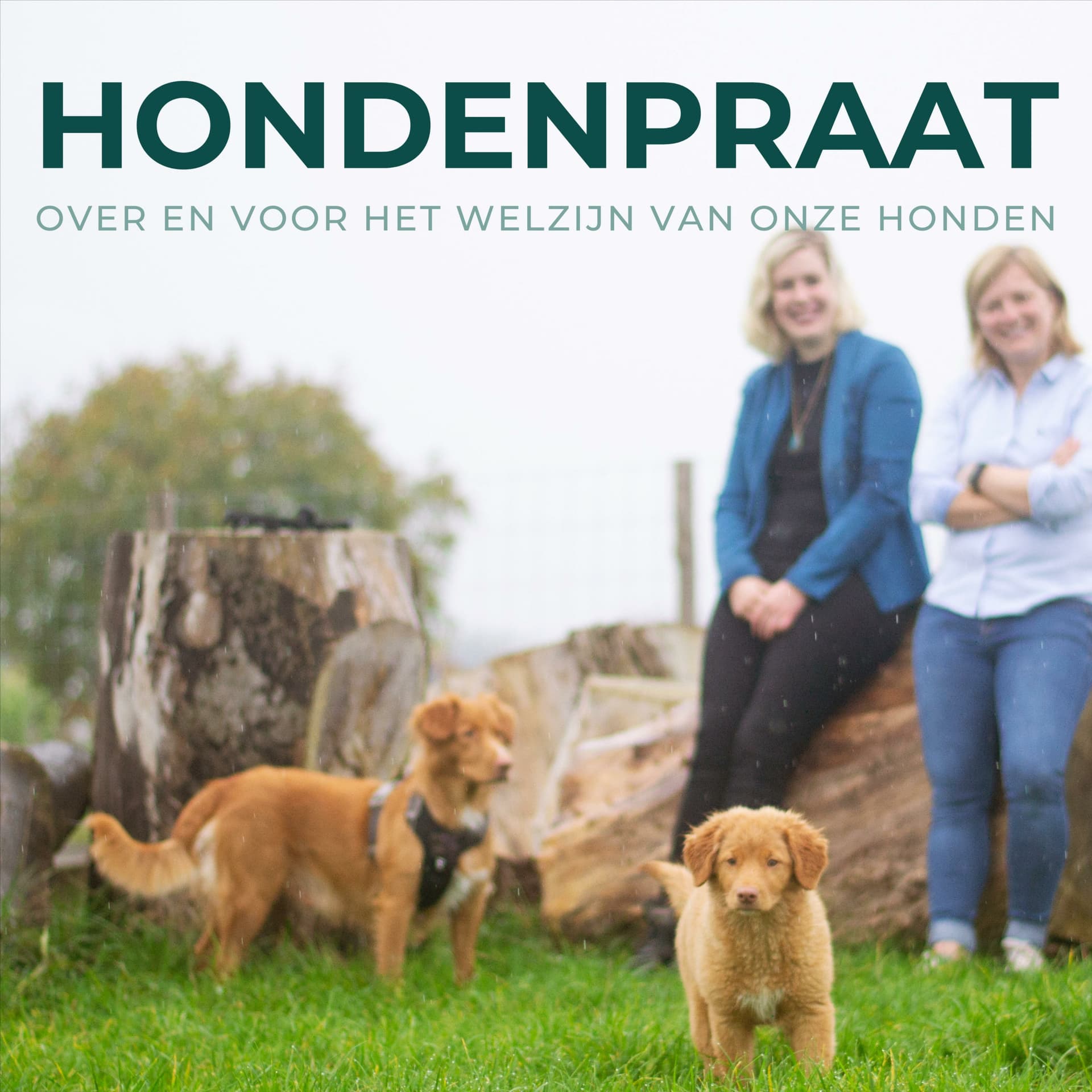 Hondenpraat - Podcasts