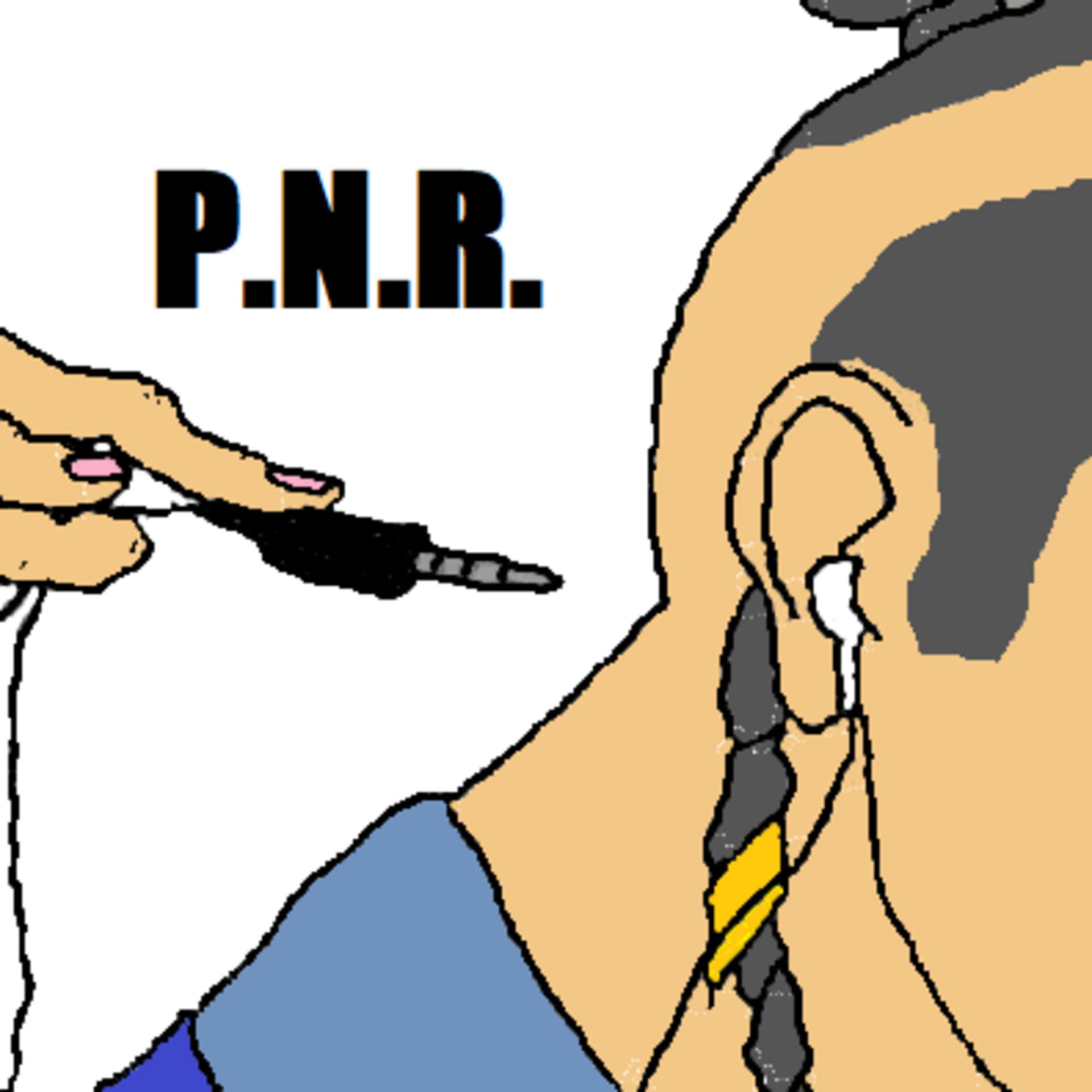 Pithing Needle Radio