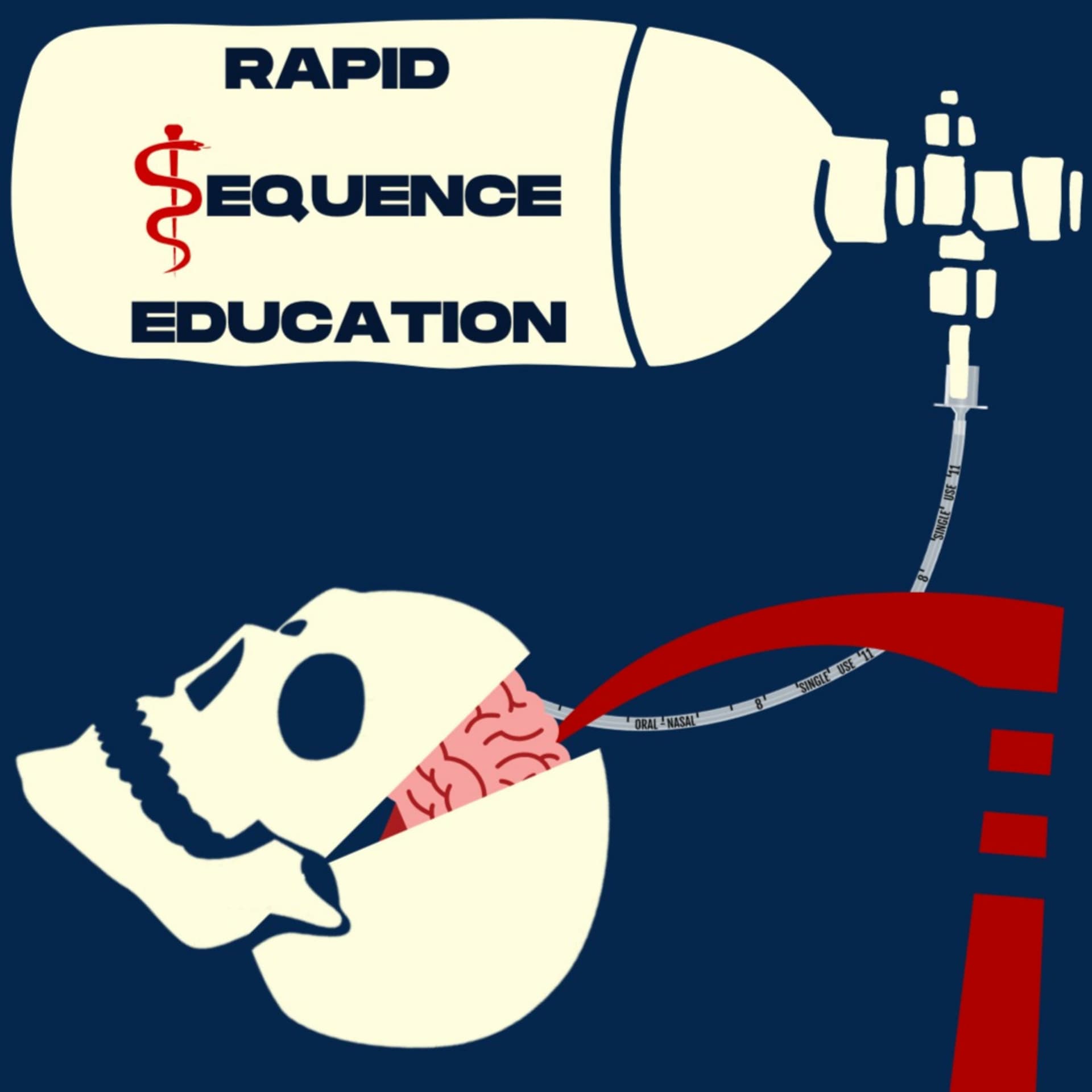 Rapid Sequence Education - Podcasts