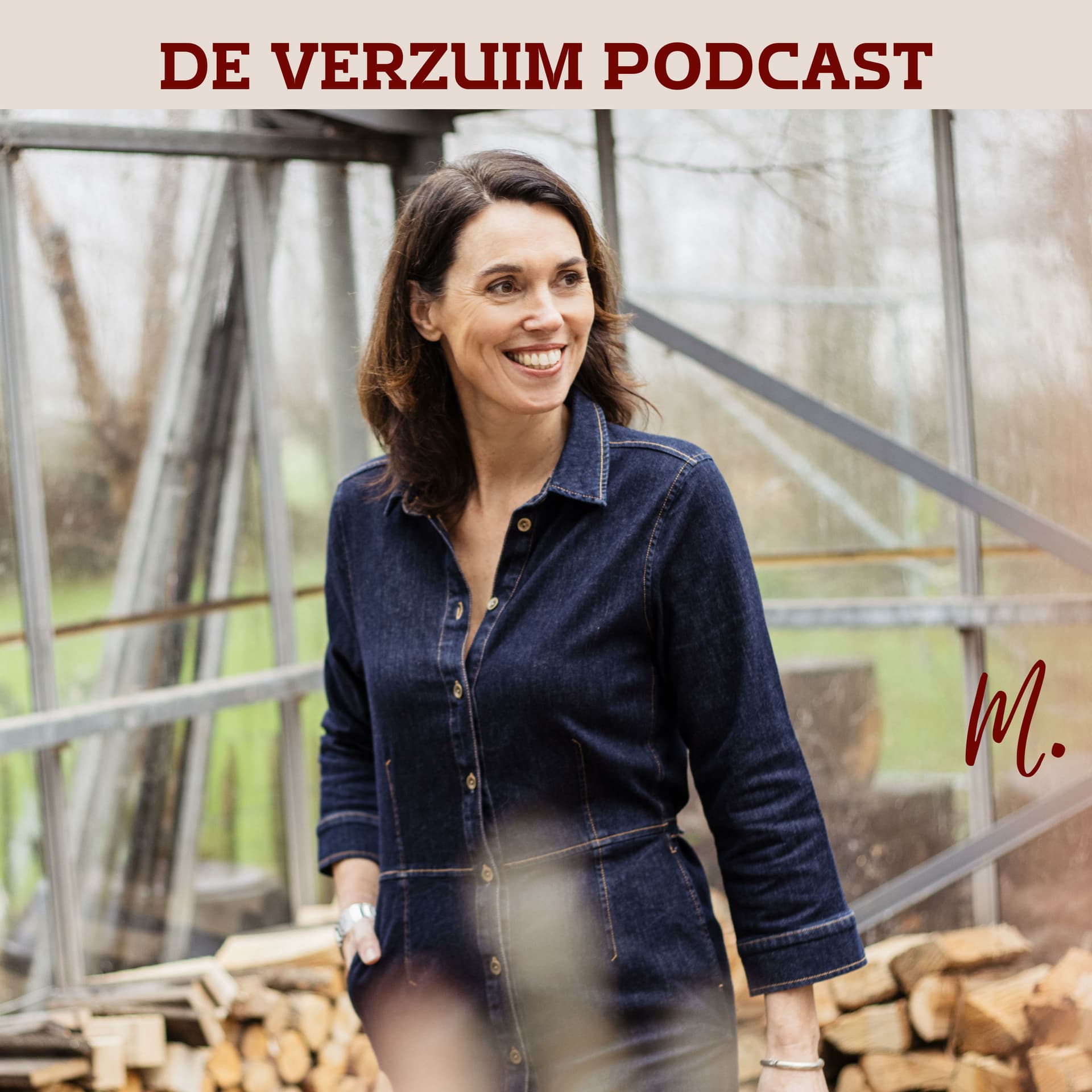 De Verzuim Podcast - Podcasts