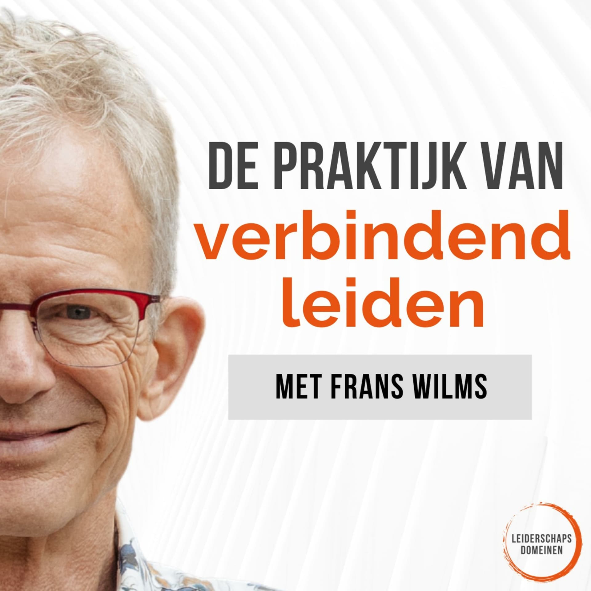 De Praktijk van Verbindend Leiden van Leiderschapsdomeinen - Podcasts