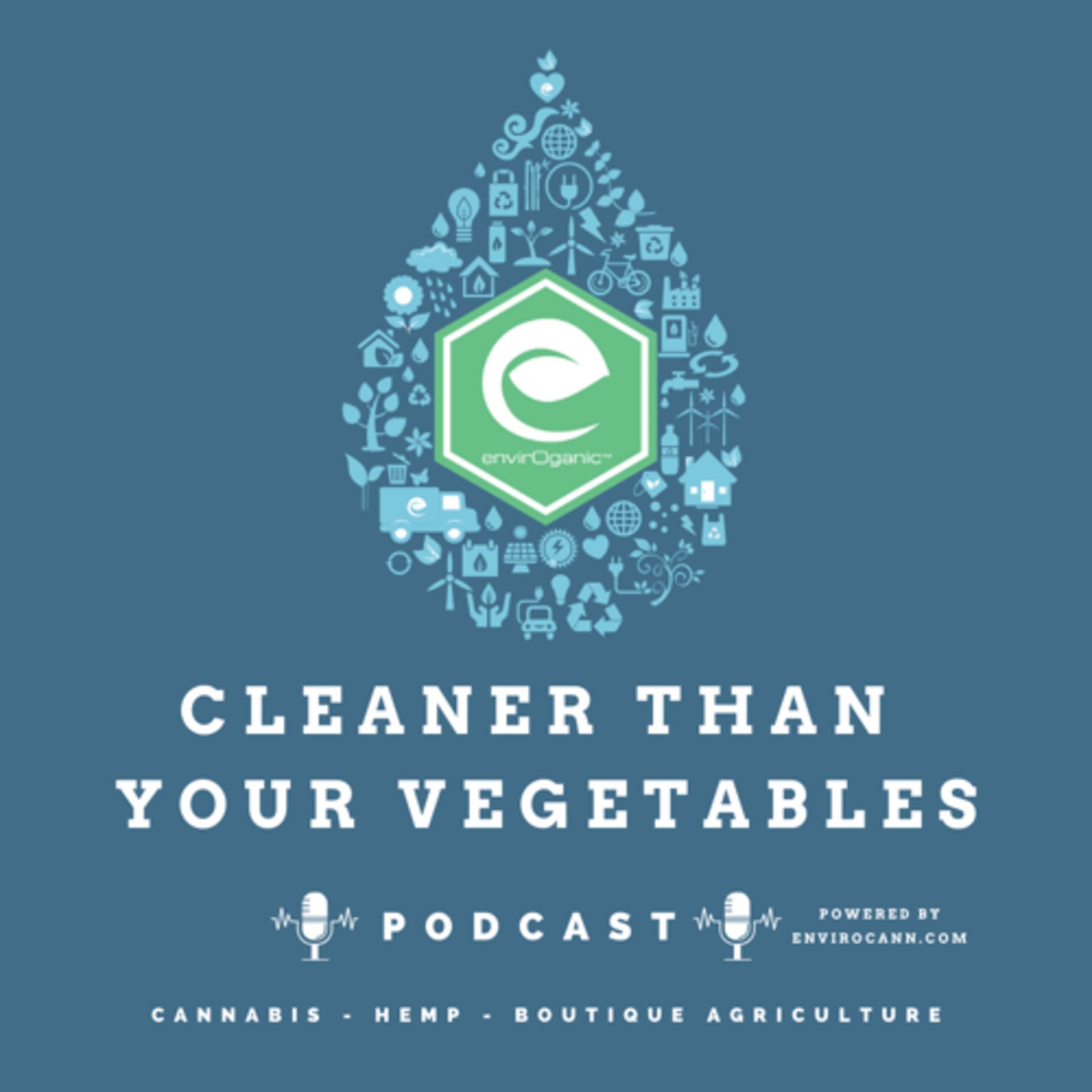 Cleaner Than Your Vegetables - Podcasts