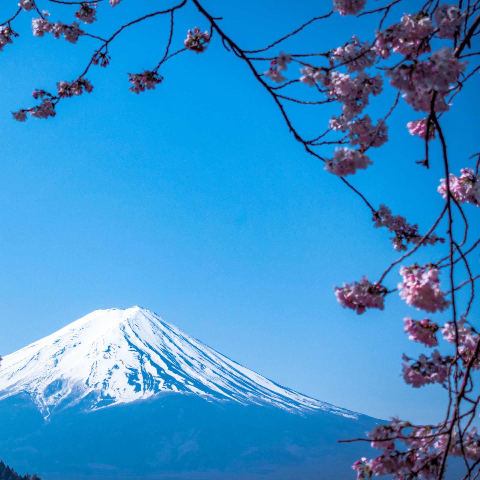 ADNIPO JAPAN CHURCH / LPP (Listen/Pray & Practice) OOP - Ouça / Ore & Pratique - Podcasts