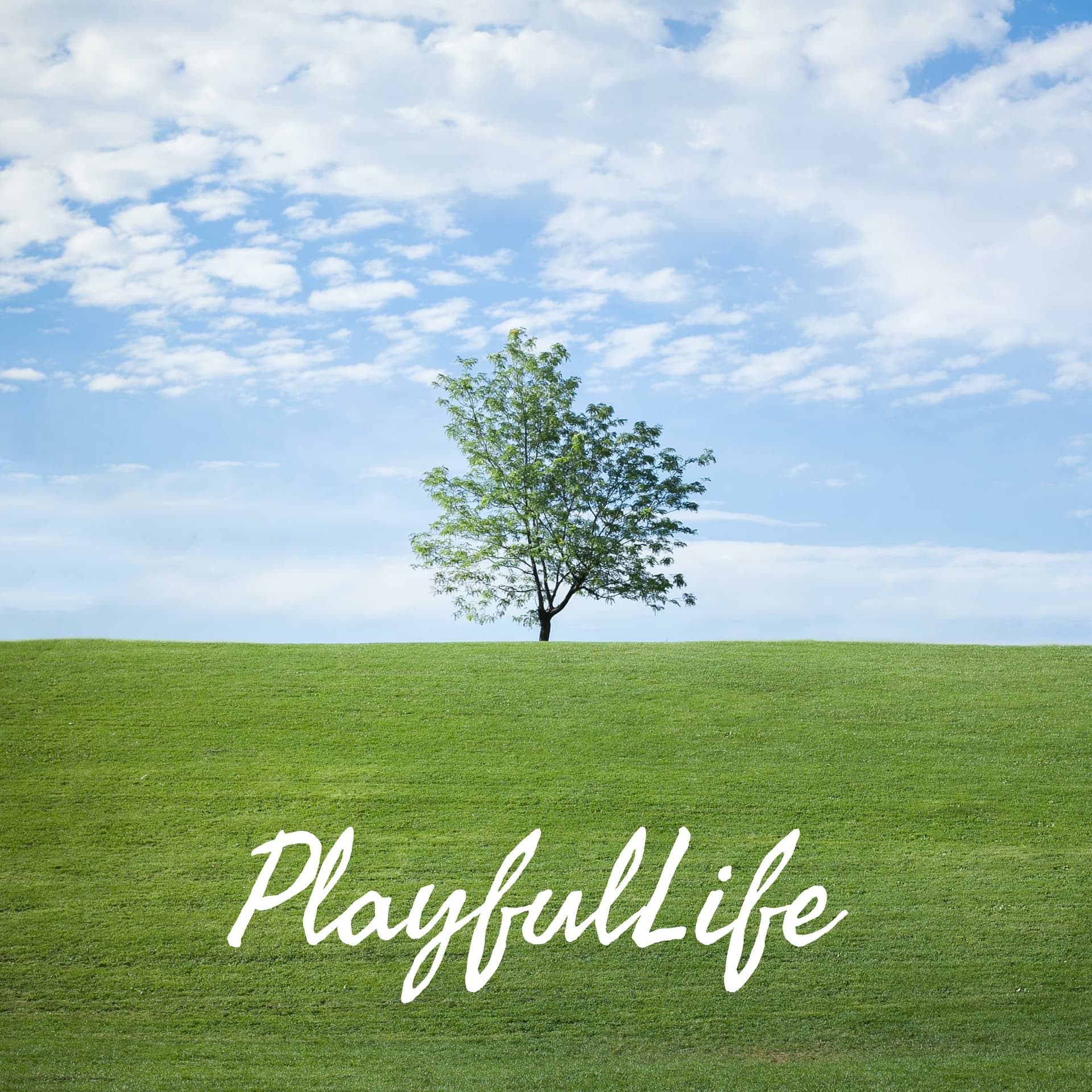 Playful☀️Life コーチング - Podcasts