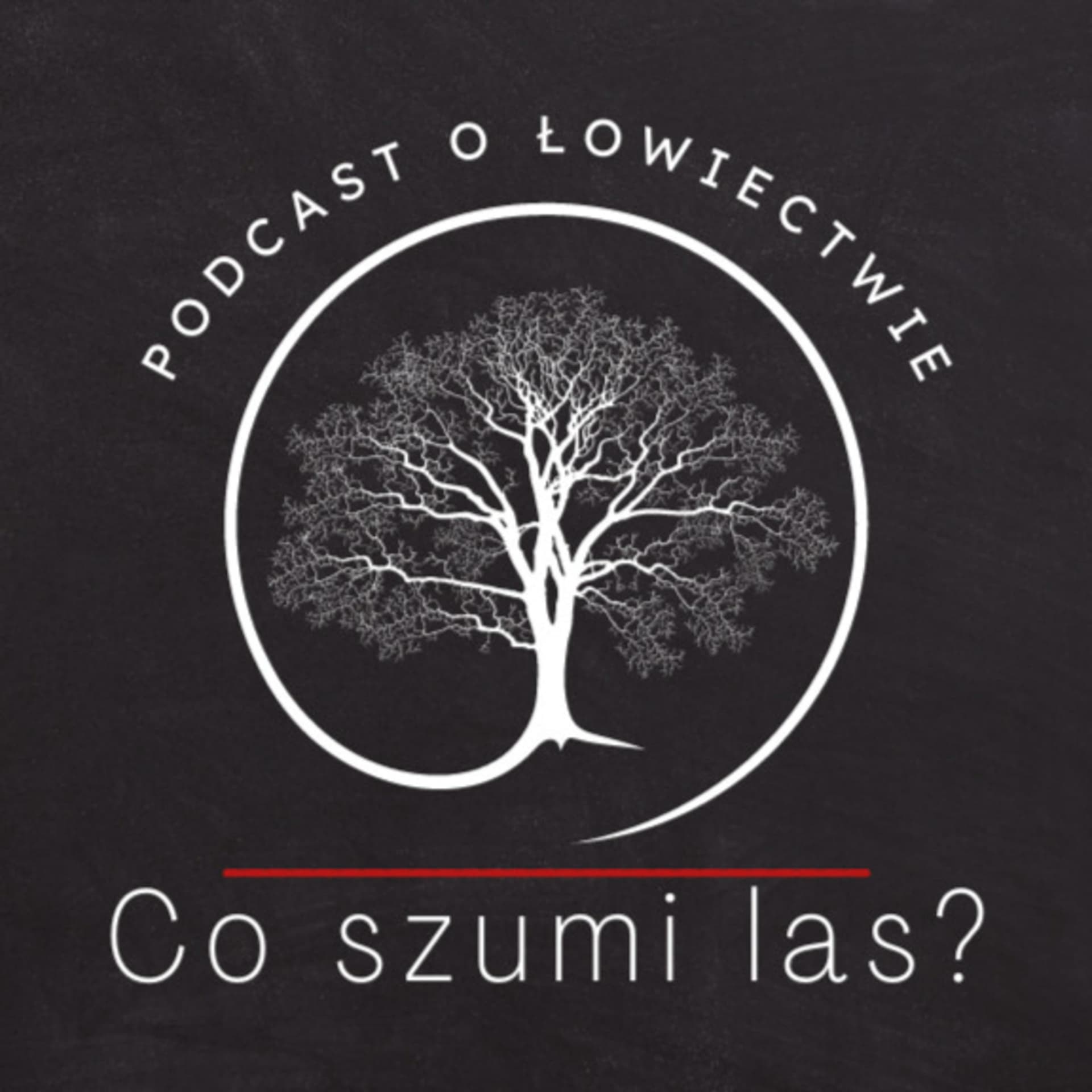 Co szumi las? - Podcasts