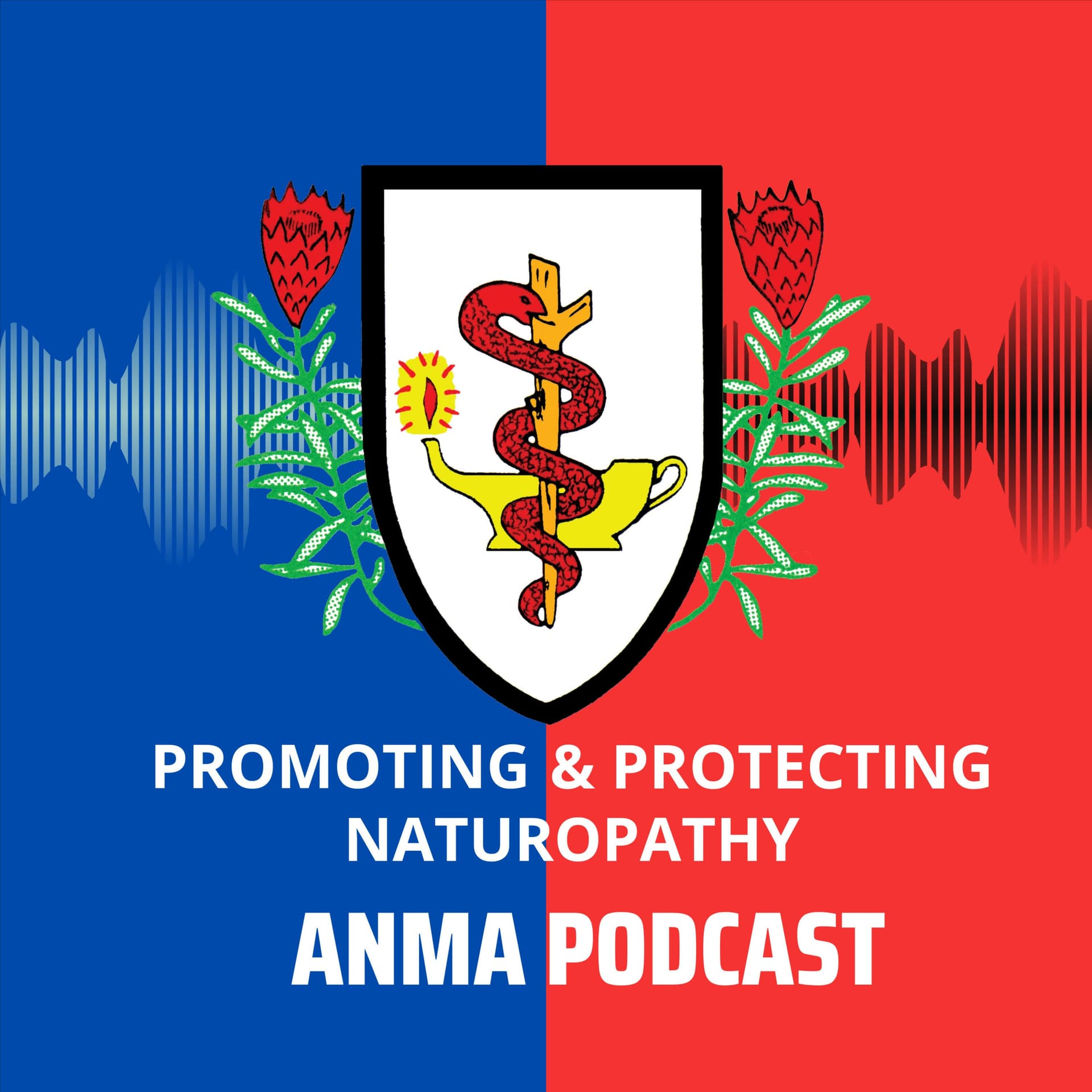 Promoting and Protecting Naturopathy by American Naturopathic Medical Association - Podcasts