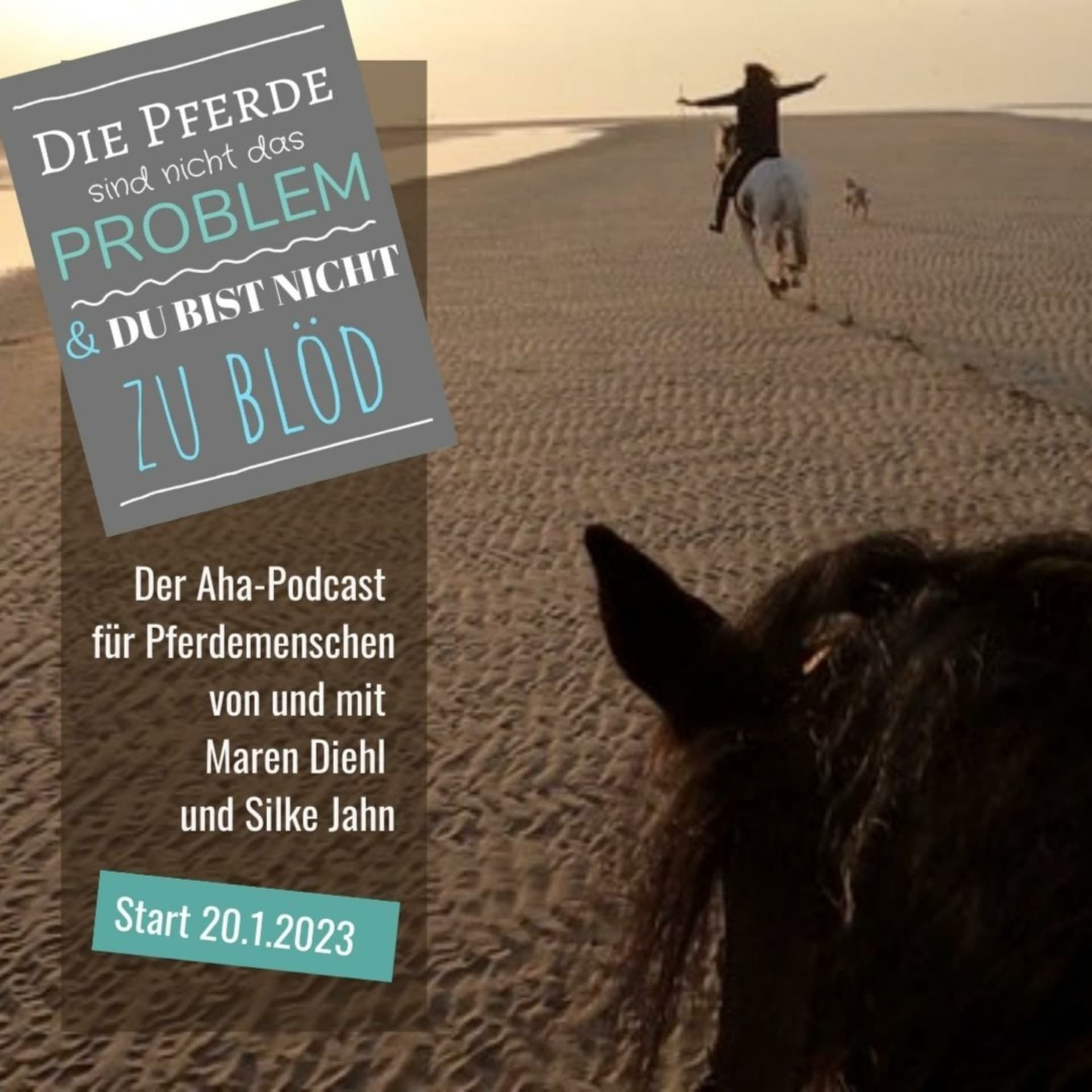 Die Pferde sind nicht das Problem - und du bist nicht zu blöd. Der Aha-Podcast für Pferdemenschen - Podcasts