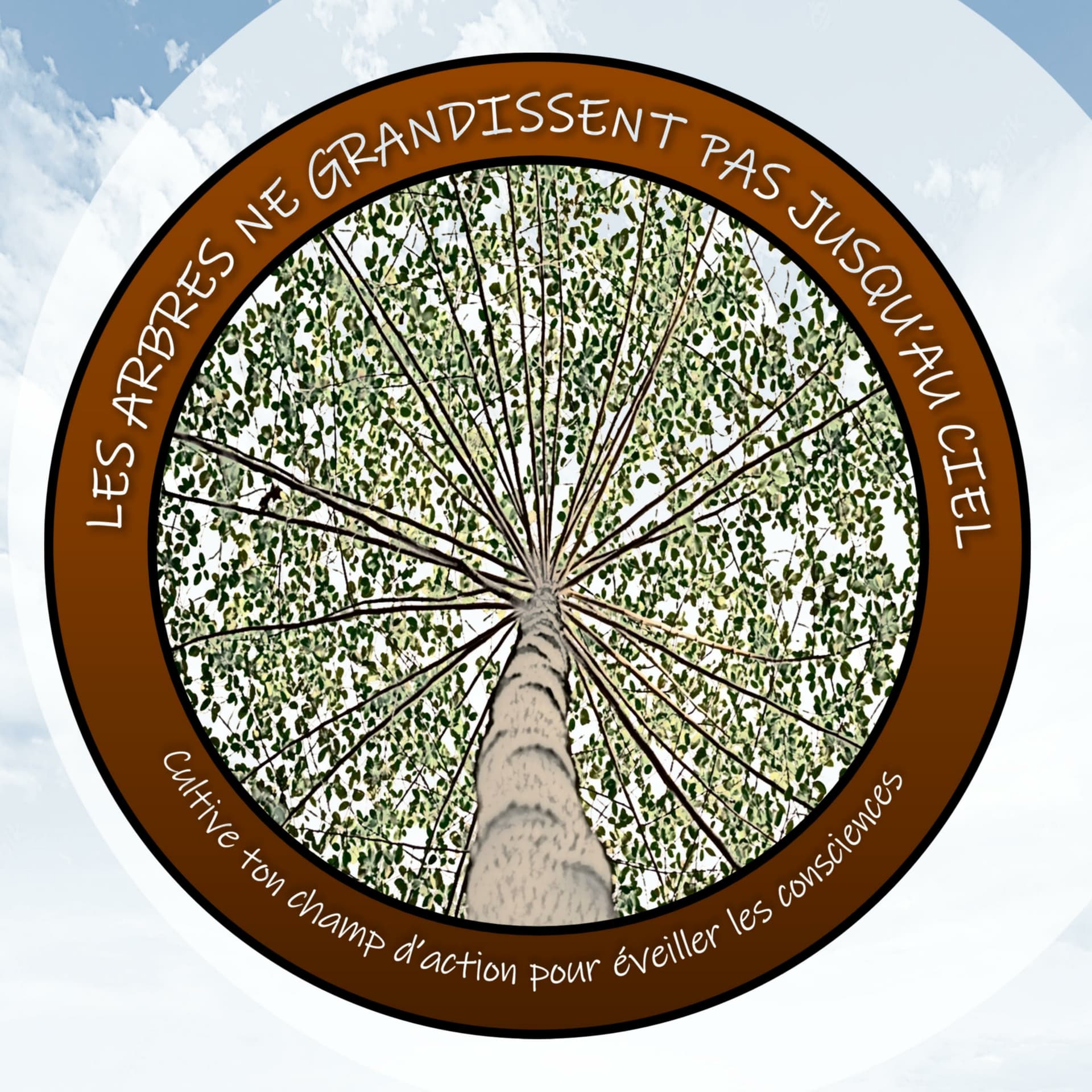 Les arbres ne grandissent pas jusqu'au ciel - Podcasts