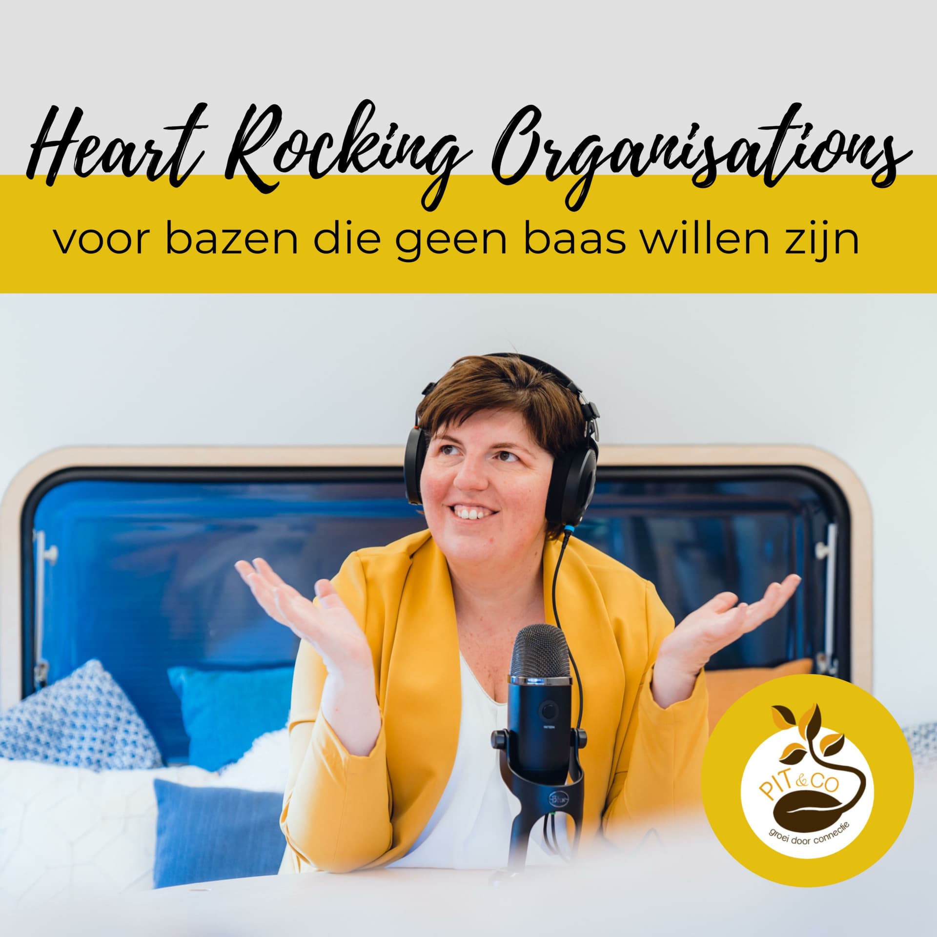 Heart Rocking Organisations - Podcasts