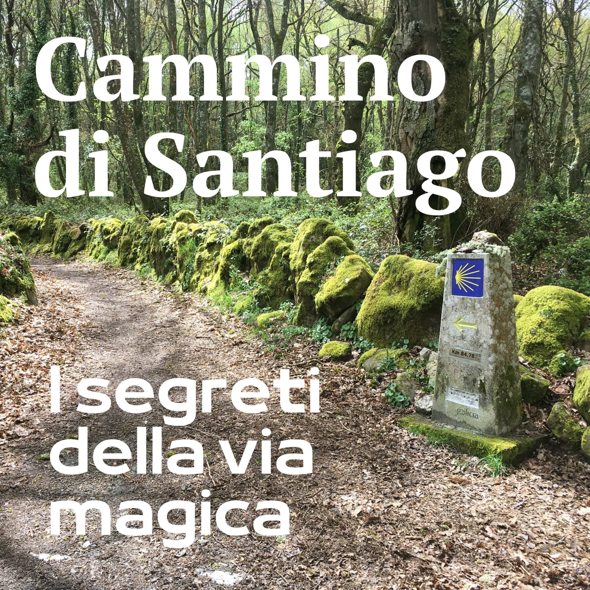 Il Cammino di Santiago - I segreti della Via Magica - Podcasts