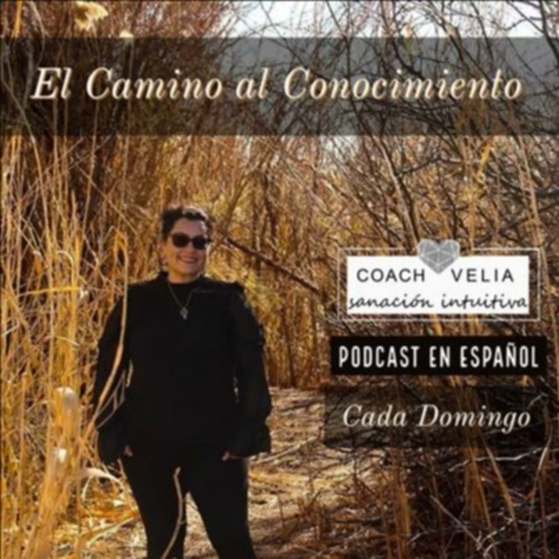 El Camino Al Conocimiento - Podcasts