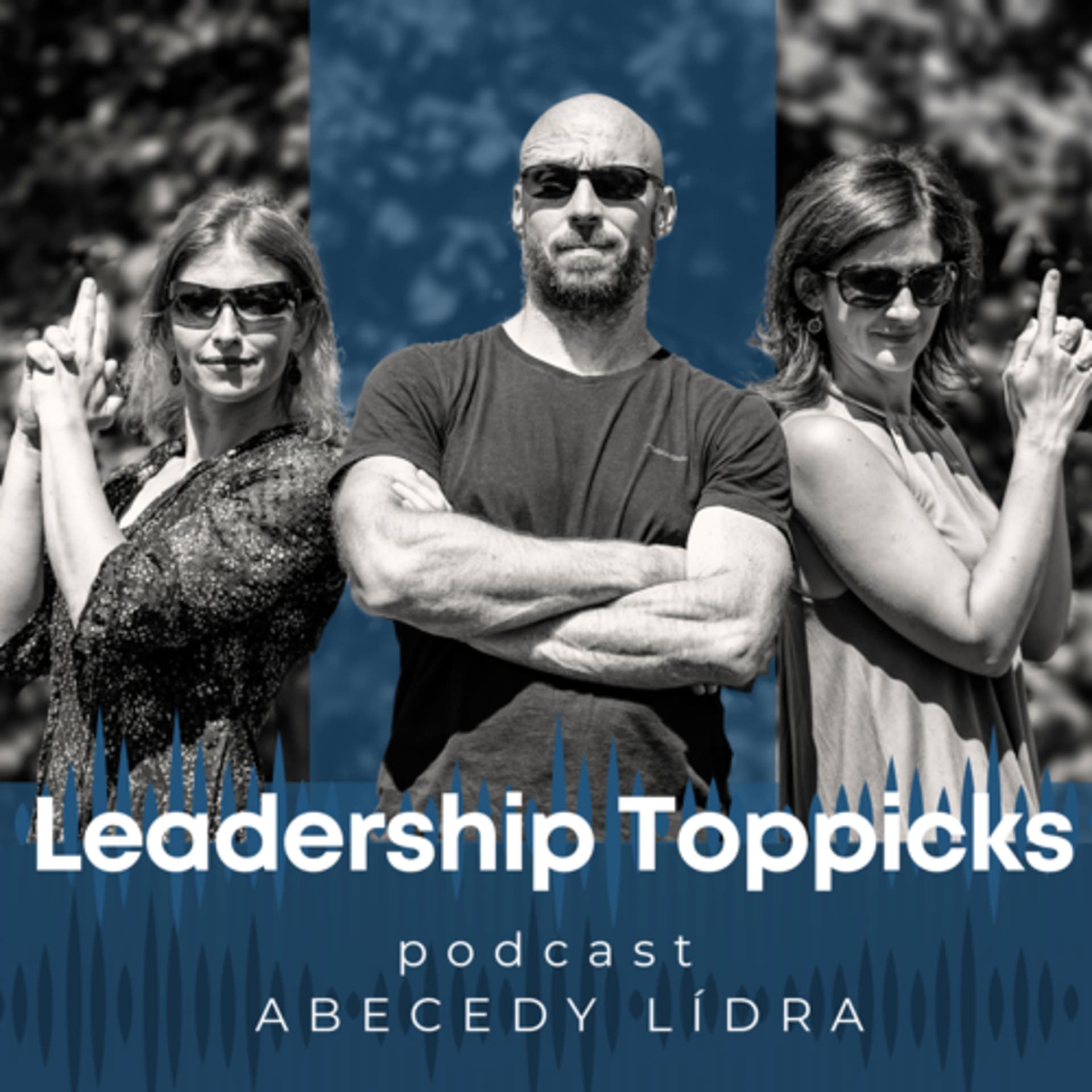 Leadership Toppicks - Podcasts