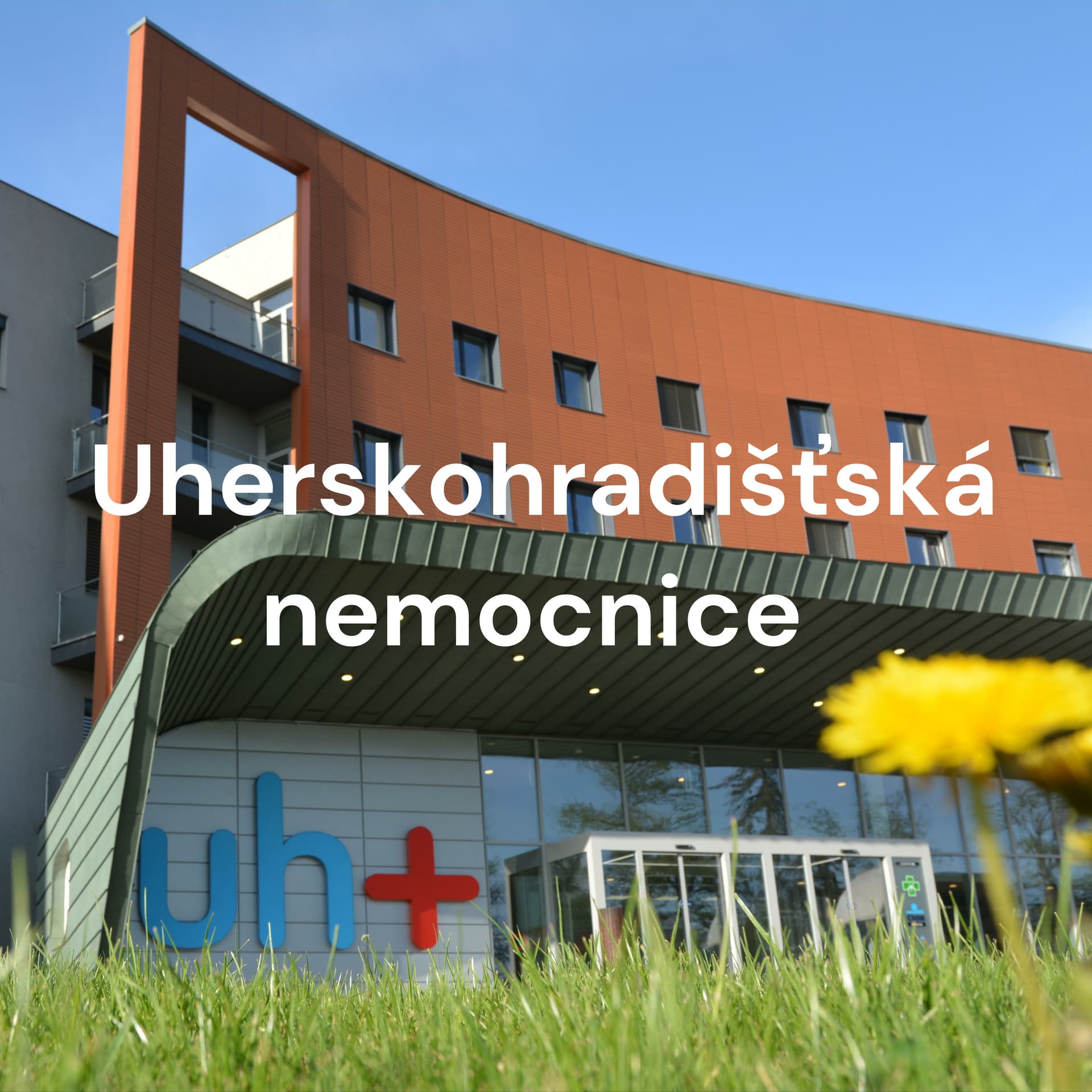 PULSOVÁNÍ - podcast Uherskohradišťské nemocnice - Podcasts