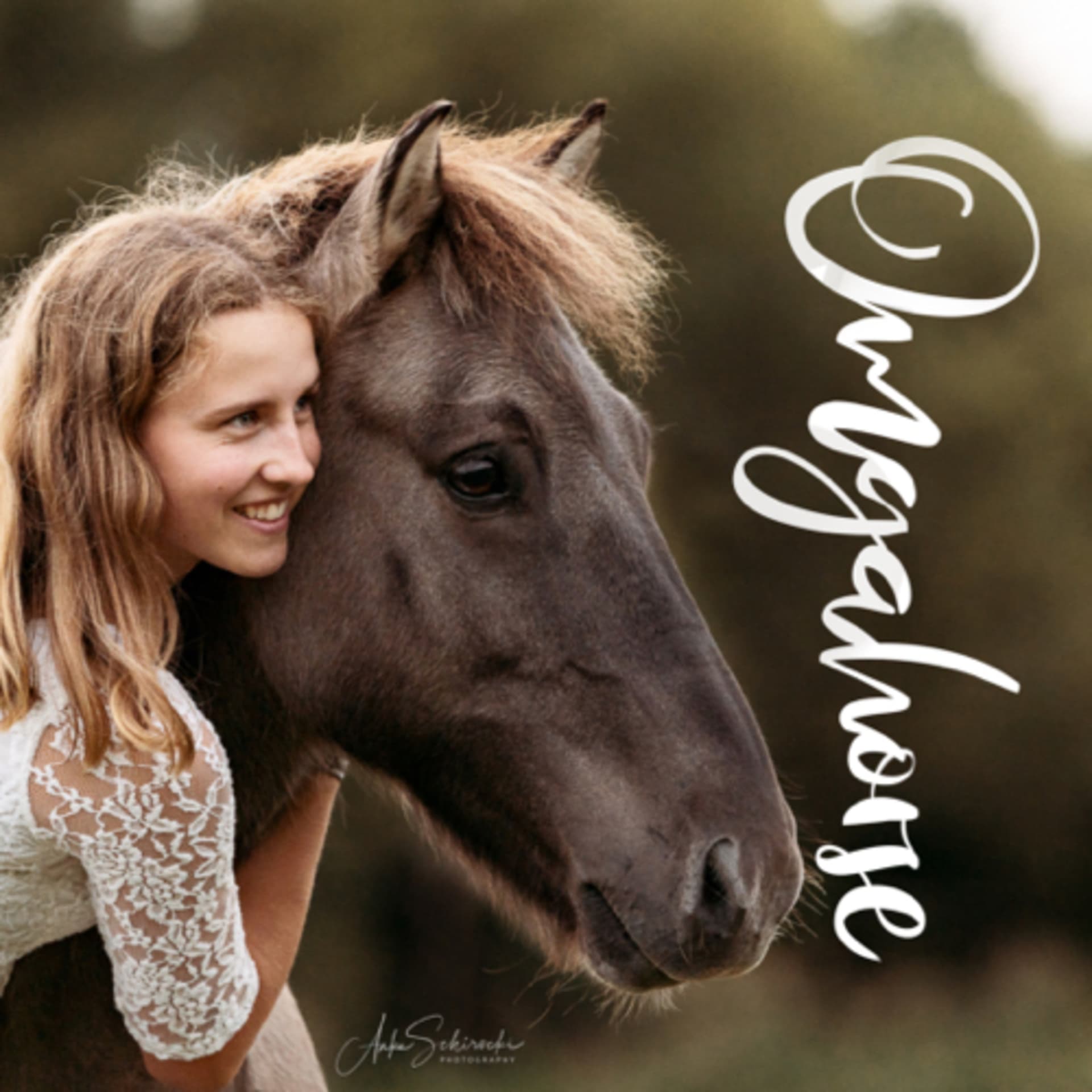 Omg a Horse - Podcasts