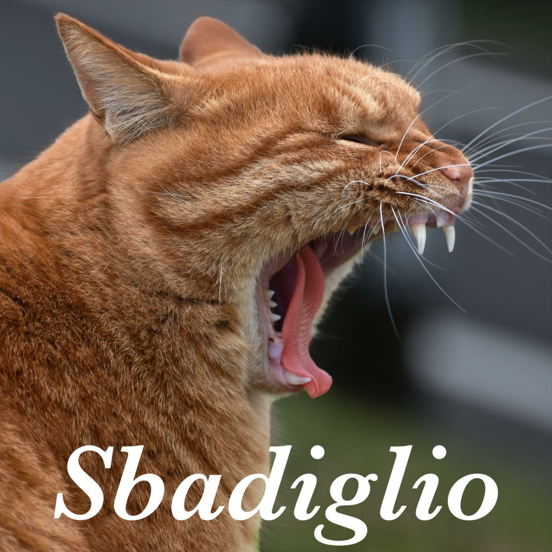 Sbadiglio - tecnologia e società - Podcasts
