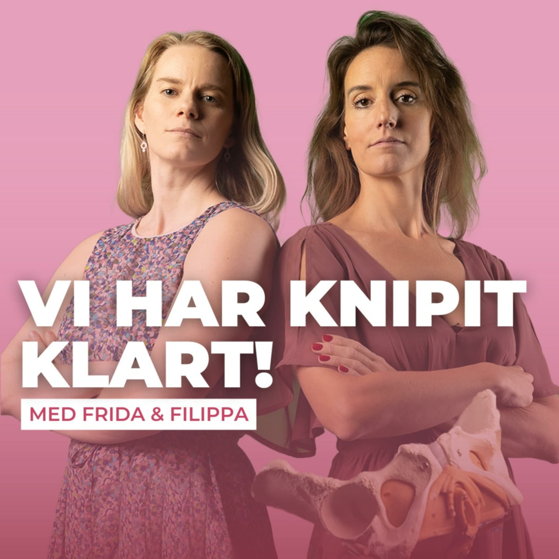 Vi har knipit klart! - Podcasts