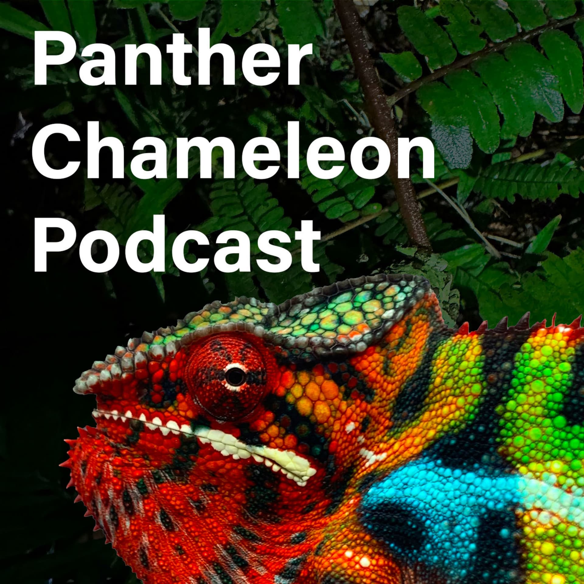 Panther Chameleon Podcast - Podcasts