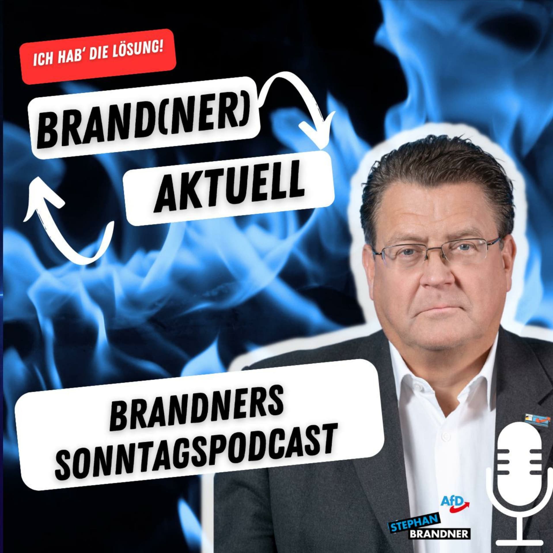 BRAND(NER) AKTUELL - der Sonntags-Podcast mit dem AfD-Bundestagsabgeordneten Stephan Brandner - Podcasts