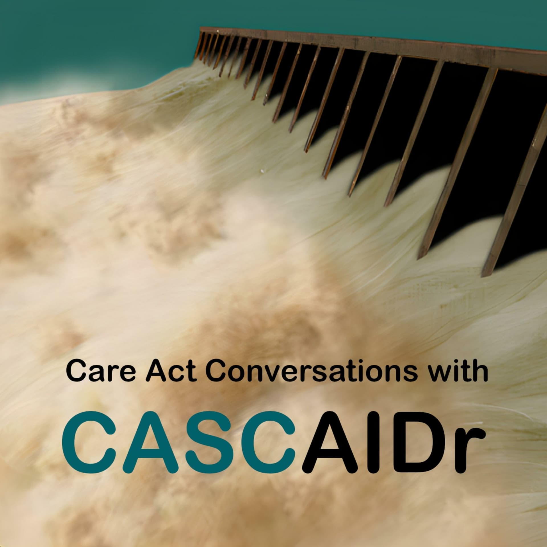 Care Act Conversations with CASCAIDr - Podcasts