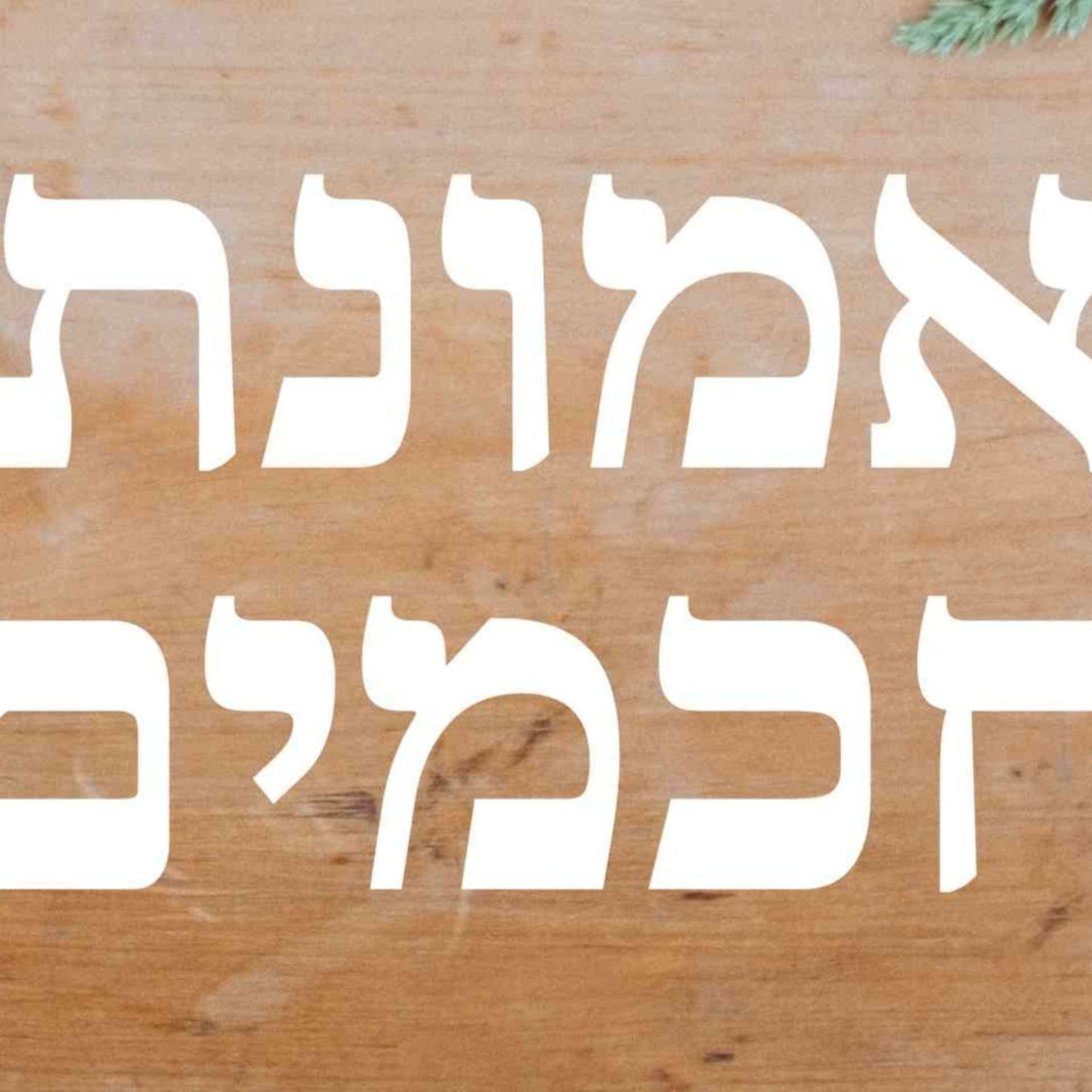התקרבות לצדיקים - אמונת חכמים