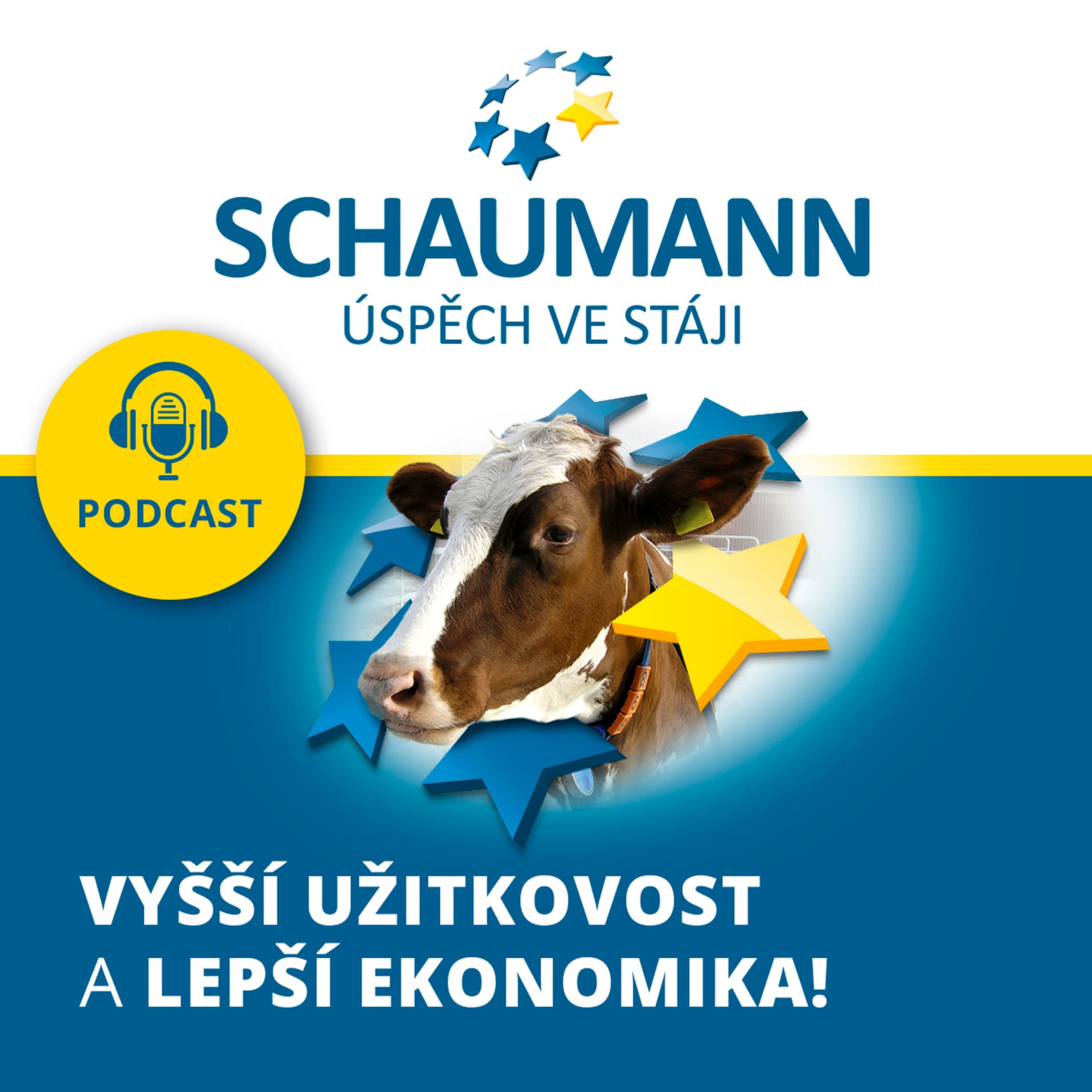 SCHAUMANN: ROZJEĎTE S NÁMI VYŠŠÍ UŽITKOVOST A LEPŠÍ EKONOMIKU! - Podcasts