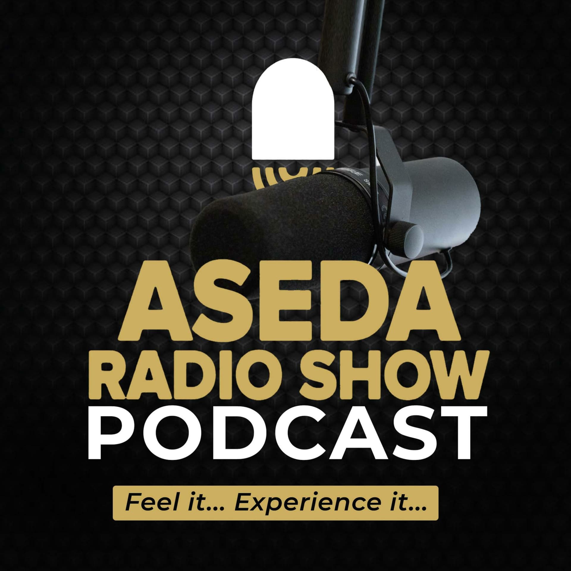 Aseda Radio Show Podcast - Podcasts