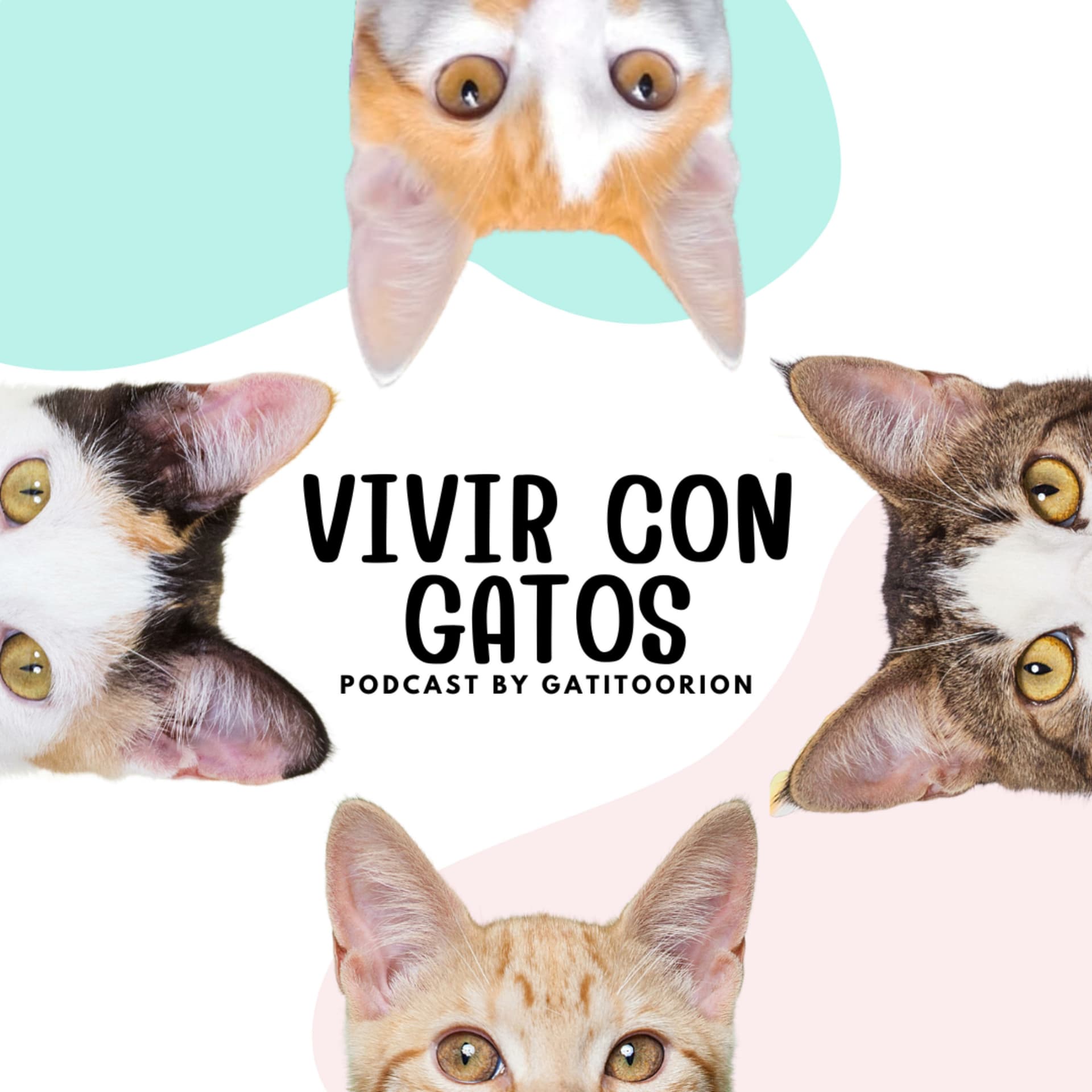 Vivir con Gatos - Podcasts