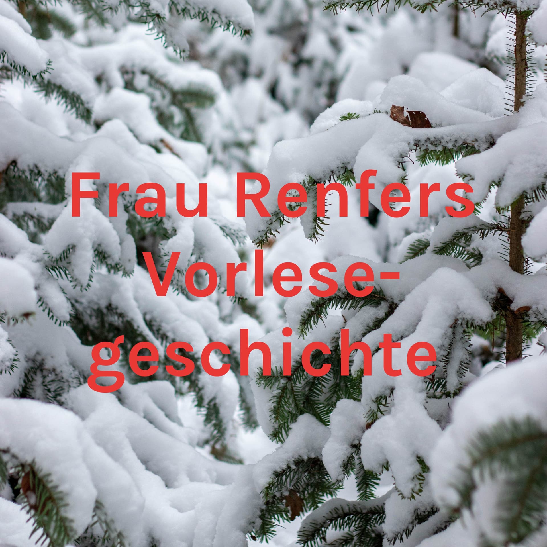 Frau Renfers Vorlese- geschichte