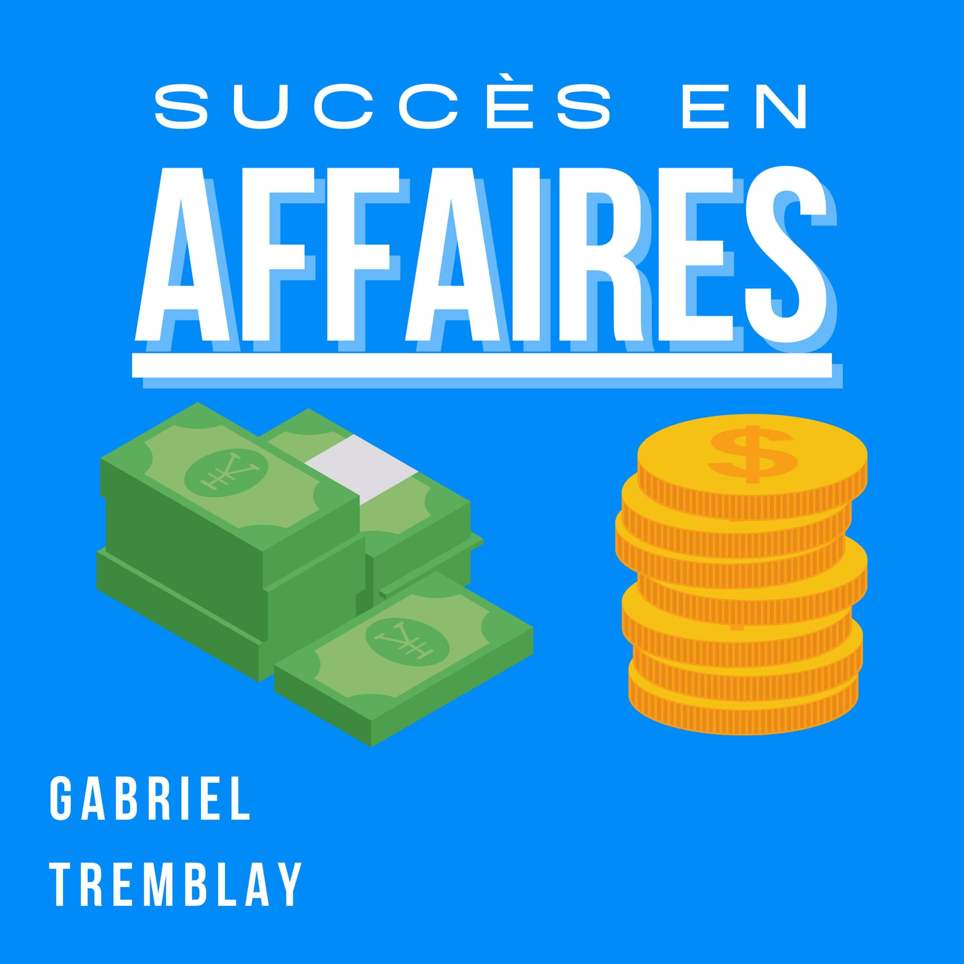 Succès en Affaires: Leçons d'un Entrepreneur - Podcasts