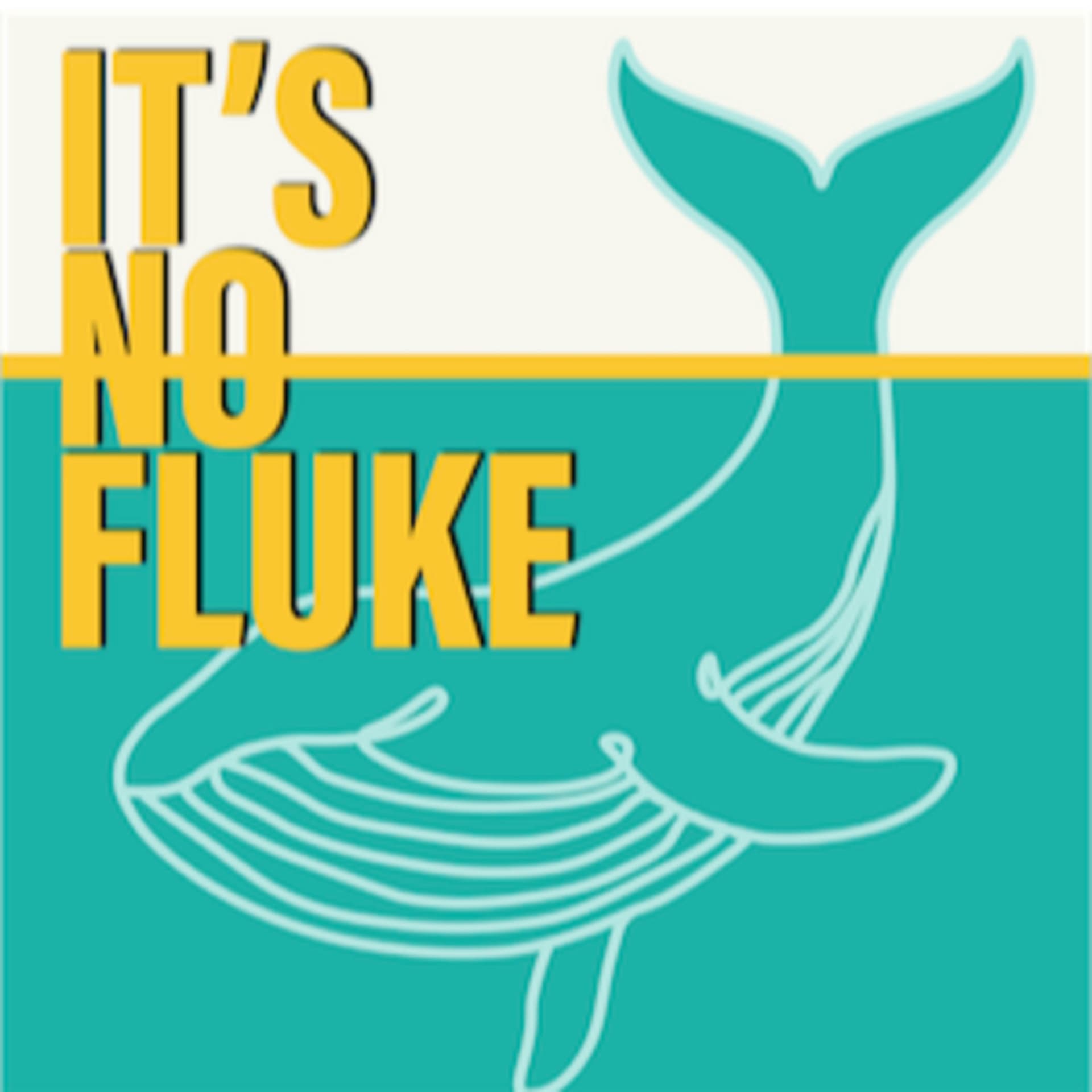 It's No Fluke - Podcasts