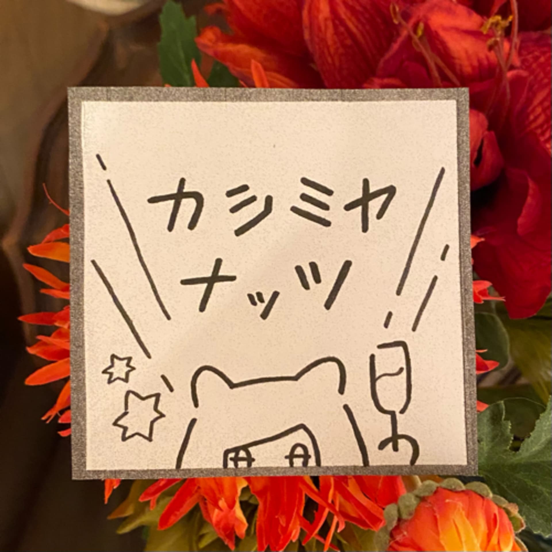 ひなたぴたのカシミヤナッツ - Podcasts