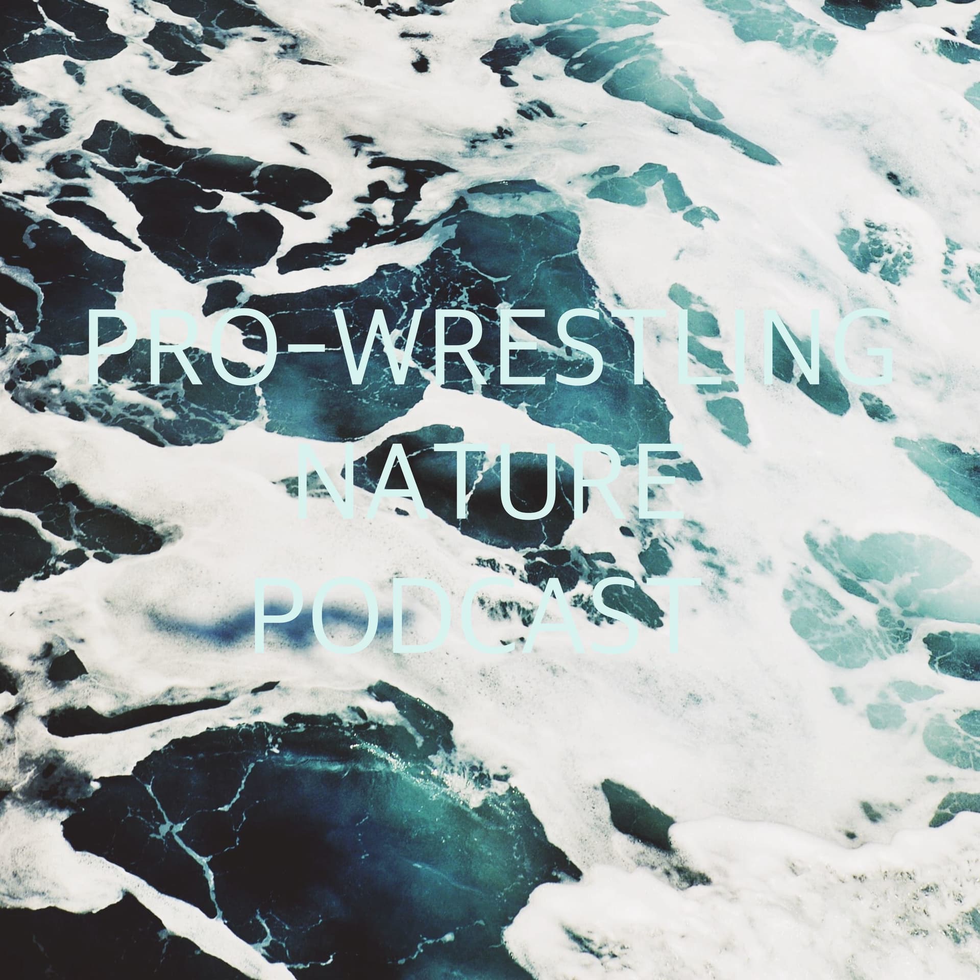 PRO-WRESTLING NATURE PODCAST 【プロレス】